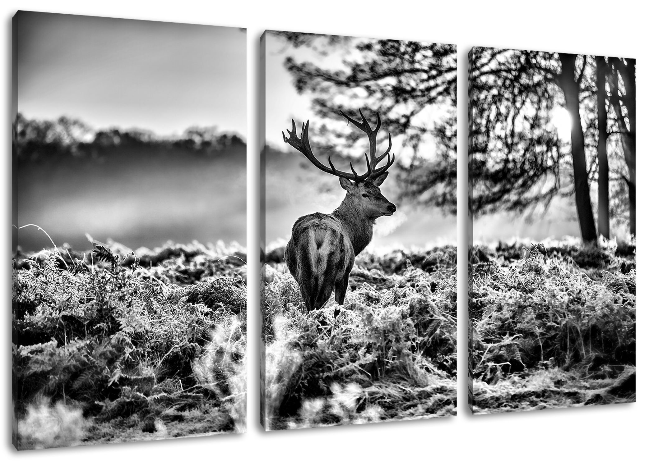 3Teiler Hirsch (120x80cm) fertig Pixxprint Leinwandbild Zackenaufhänger bespannt, inkl. Leinwandbild Hirsch (1 Wald, St), im Wald im