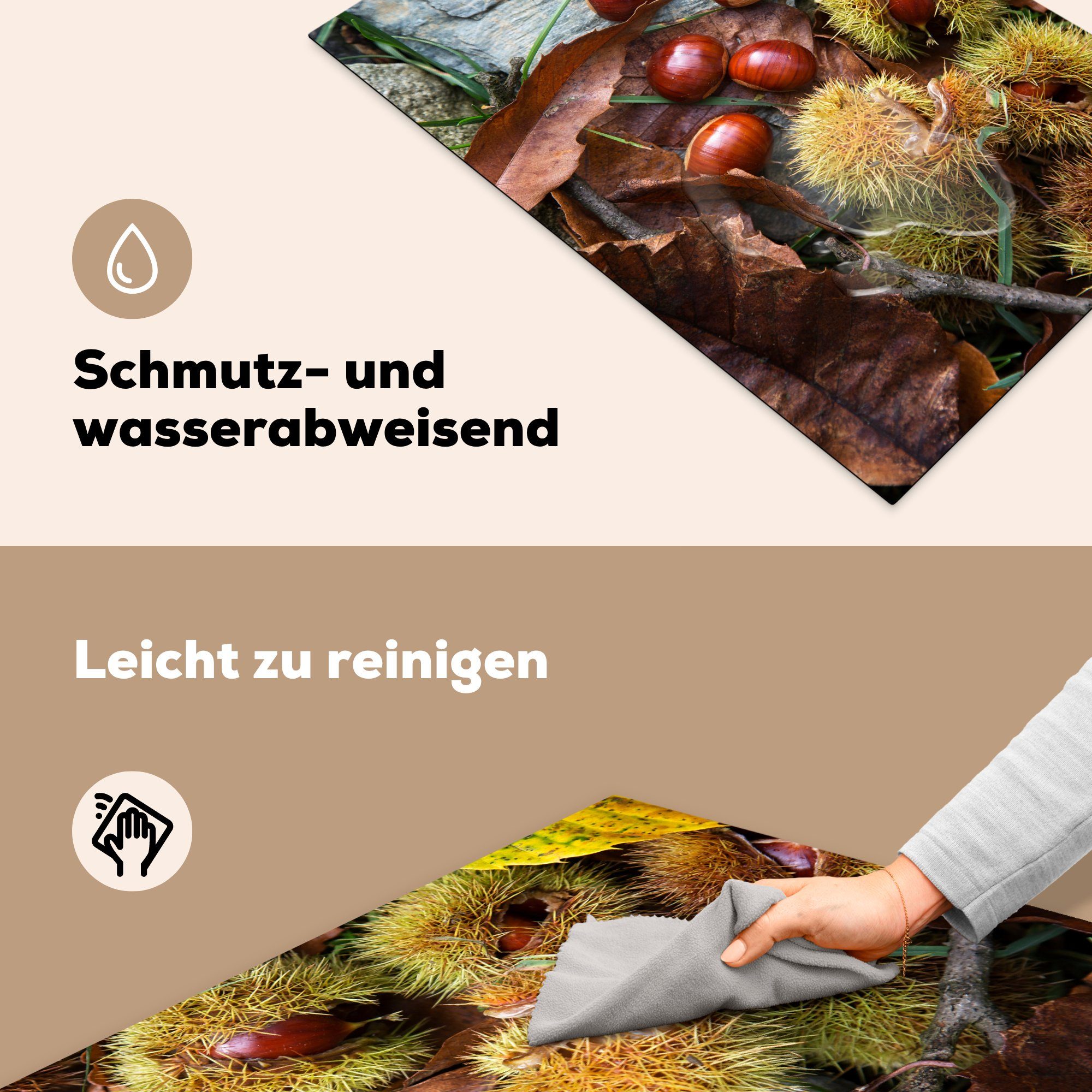 MuchoWow Herdblende-/Abdeckplatte Esskastanien tlg), Herbstsonne, die in Schutz der Induktionskochfeld küche, cm, (1 Ceranfeldabdeckung 81x52 für Vinyl