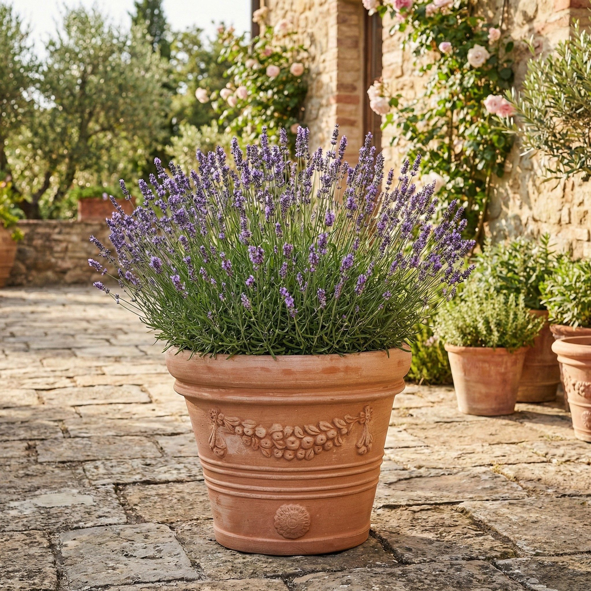 Teramico Blumentopf Terrakotta Pflanzkübel "Festonato" – Ø 36 cm – Italien (1 St), Frostfest, UV-Fest