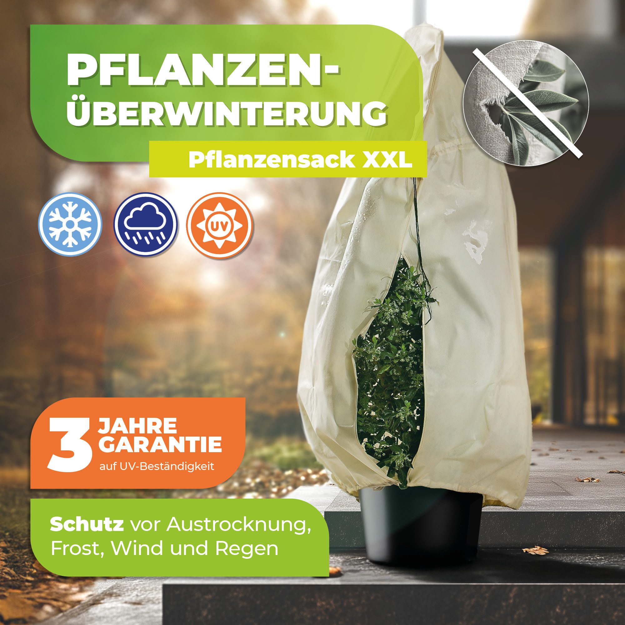 Bio Green Wintervlies Winterschutz für Kübelpflanzen günstig online kaufen