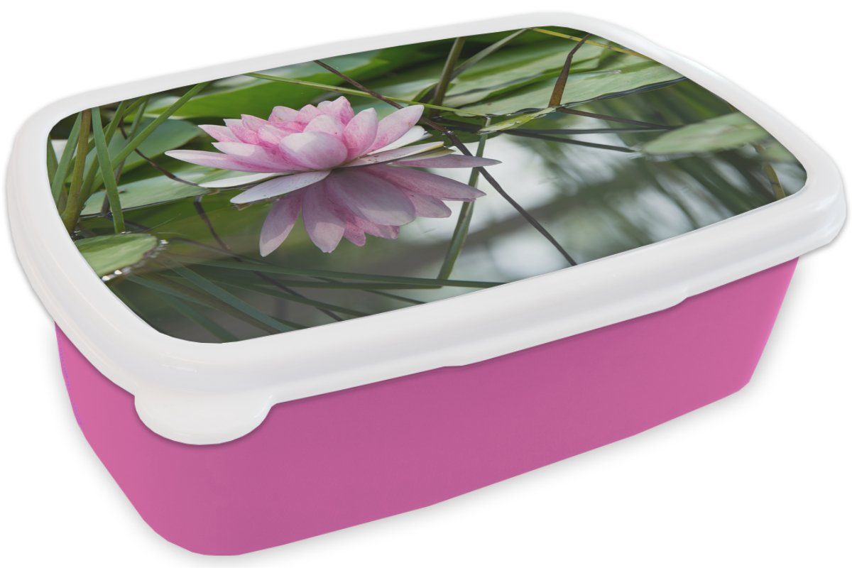 - rosa Lotus (2-tlg), Brotbox Kunststoff, Snackbox, - Kunststoff für MuchoWow Lunchbox Blumen Kinder, Erwachsene, Brotdose Mädchen, Wasser,