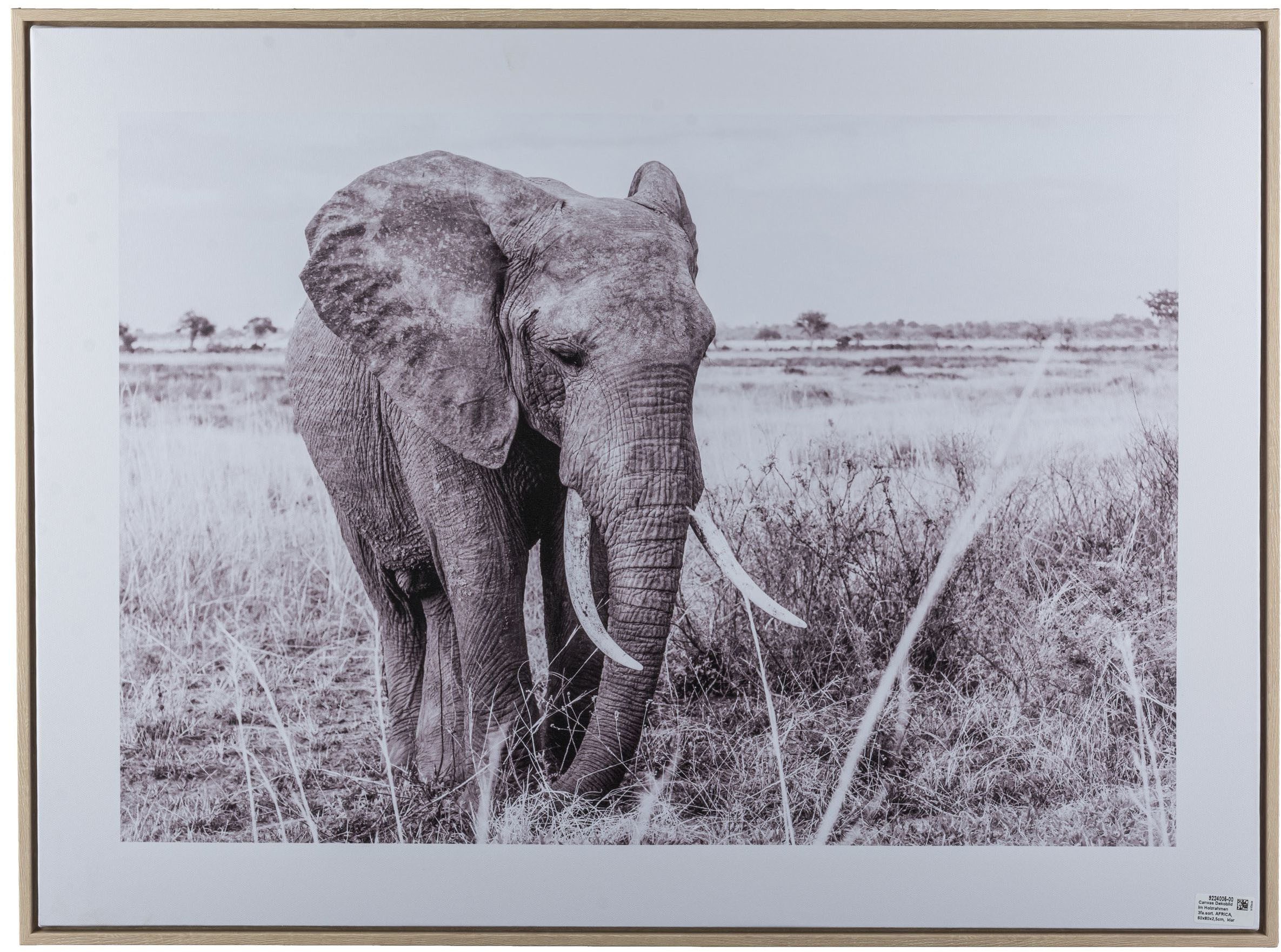 Creativ home Bild mit Rahmen Elefant, (1 St), mit schwarz-weißem Motiv
