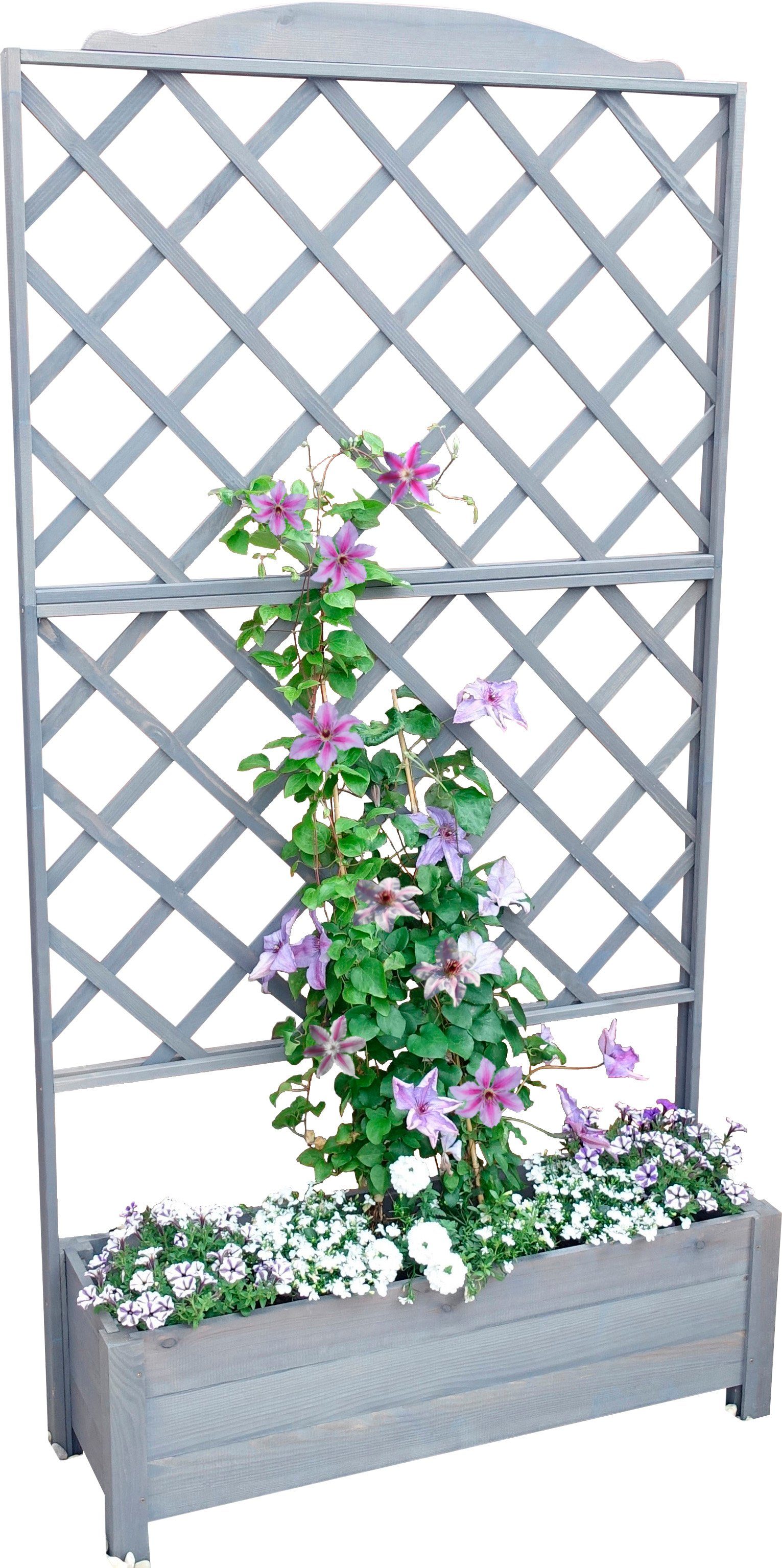 promadino Rankhilfe Botanica, Rankkasten, BxTxH: 110x32x210 günstig online kaufen