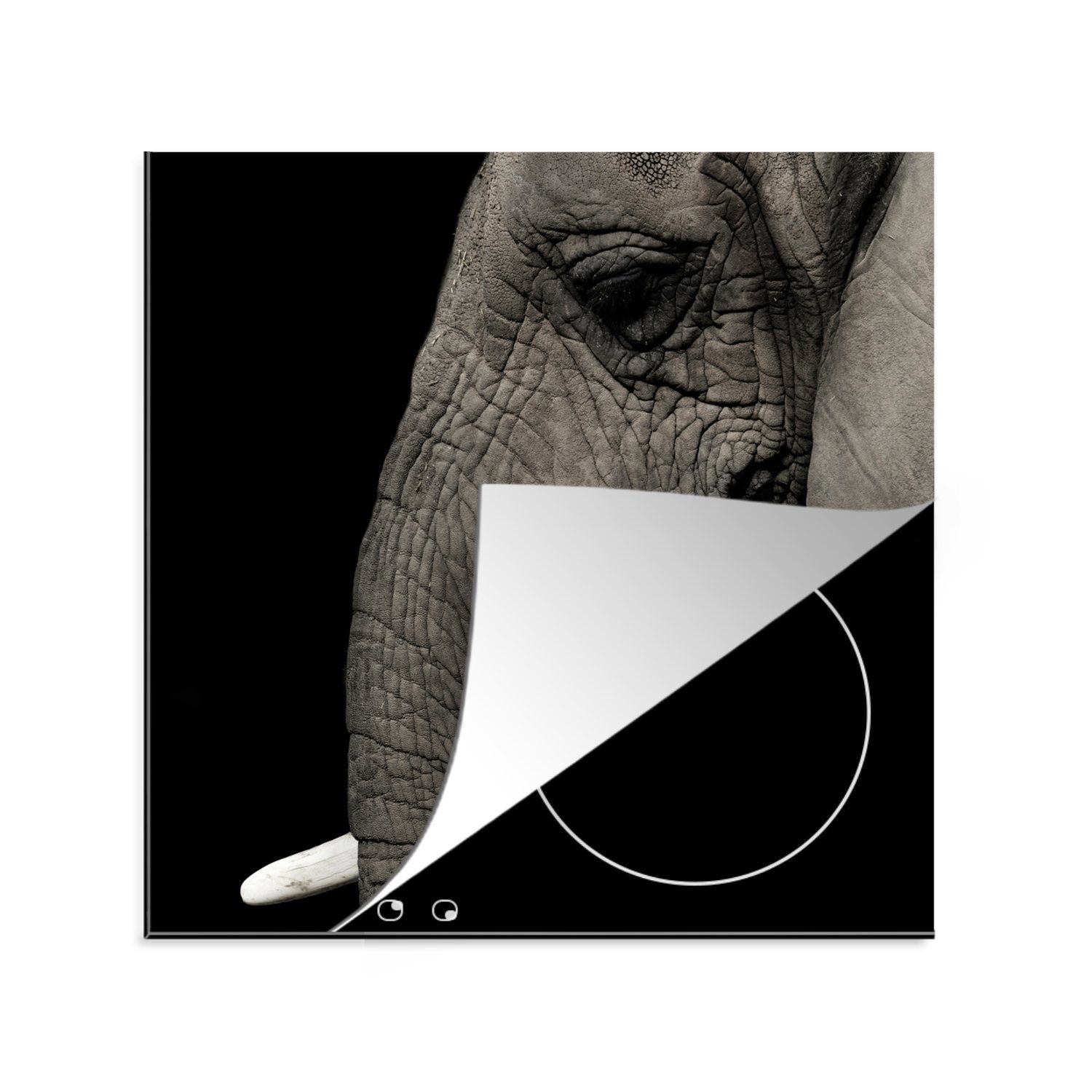 MuchoWow Herdblende-/Abdeckplatte Elefant - Grau - Schwarz, Vinyl, (1 tlg), 78x78 cm, Ceranfeldabdeckung, Arbeitsplatte für küche