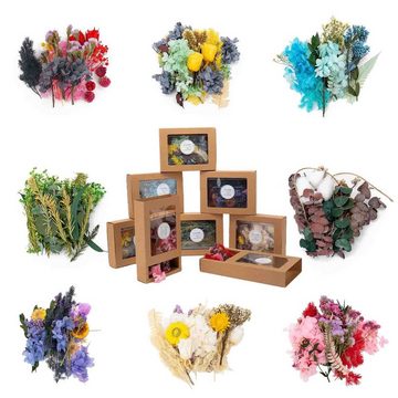Trockenblume Trockenblumen Set für die Heimdekoration und Handwerkliche Deko Blumen, CALIYO, Höhe 3.5 cm, Trockenblumen aus 100% echten natürlichen Blumen Dekorationsartikel