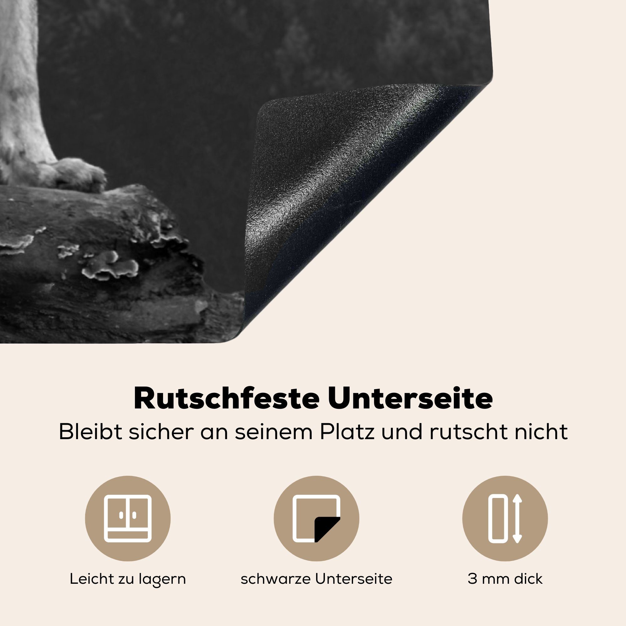 MuchoWow tlg), Herdblende-/Abdeckplatte Wolf - - Wald 78x78 cm, Induktionsschutz Arbeitsplatte für Induktionsmatte, küche Ceranfeldabdeckung, Vinyl, (1 -