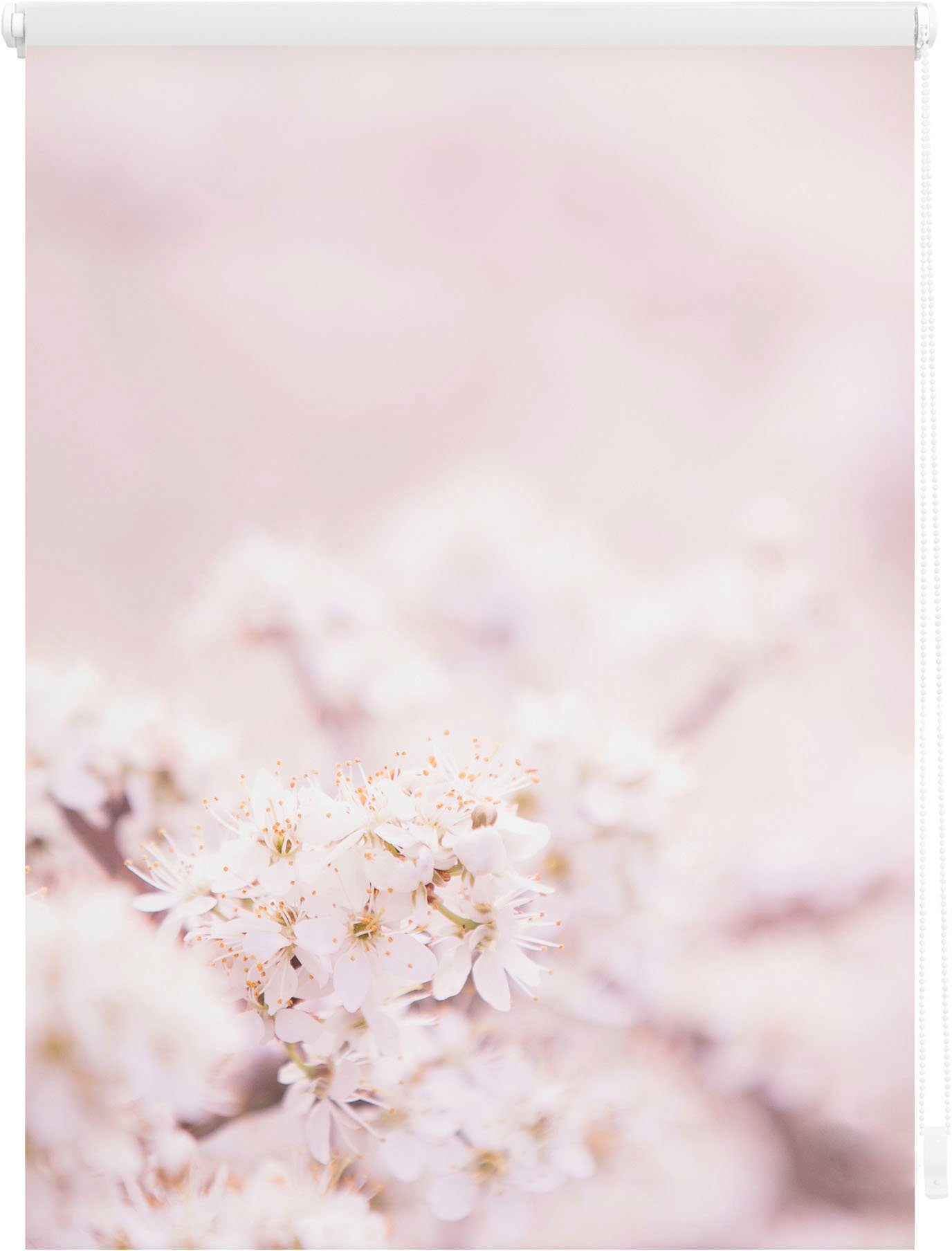 Seitenzugrollo Rollo Klemmfix, ohne LICHTBLICK verdunkelnd, ORIGINAL, - freihängend, Weiß, Rosa Bohren, Verdunkelung, Klemmfix Kirschblüten