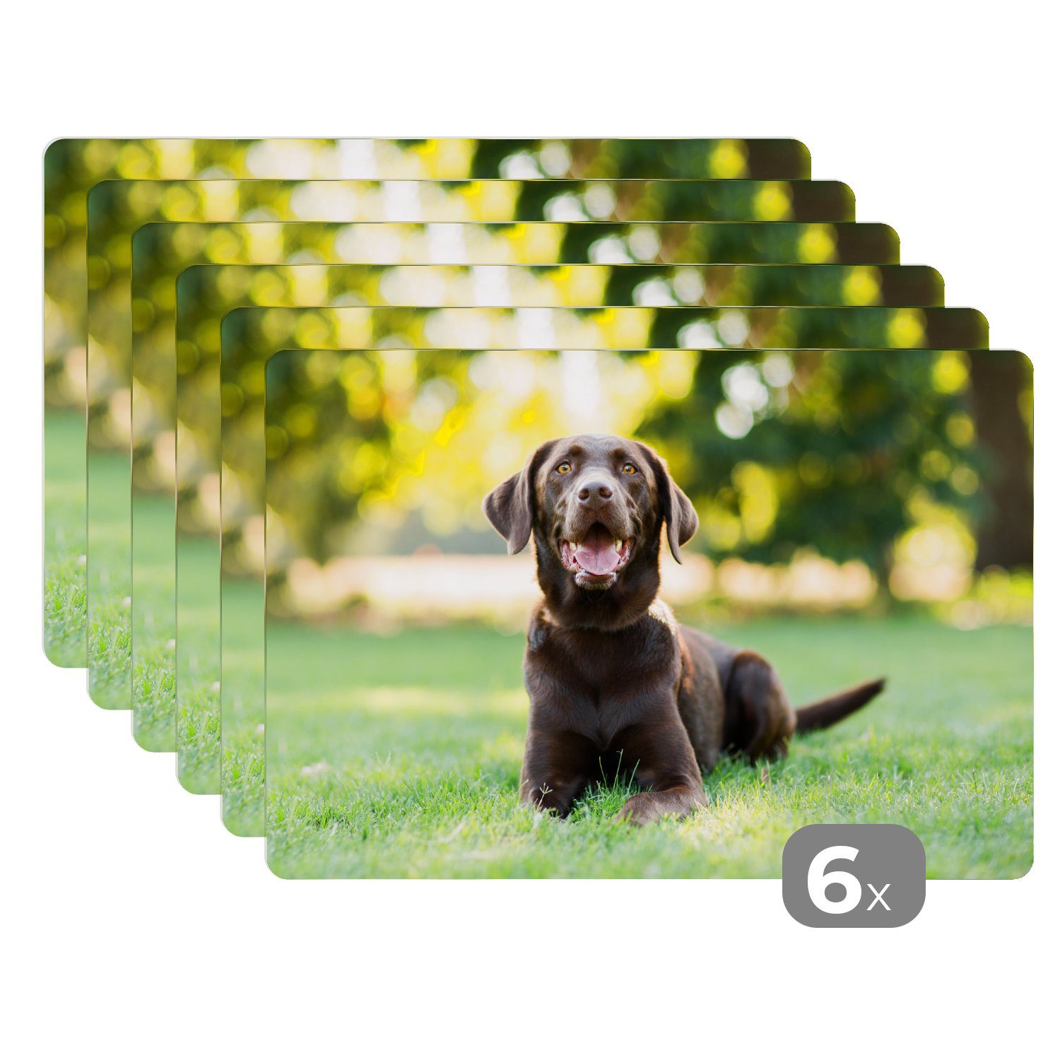 Platzset, Ein Labrador Retriever liegt im Gras, MuchoWow, (6-St), Platzset, Platzdecken, Platzmatte, Tischmatten, Schmutzabweisend