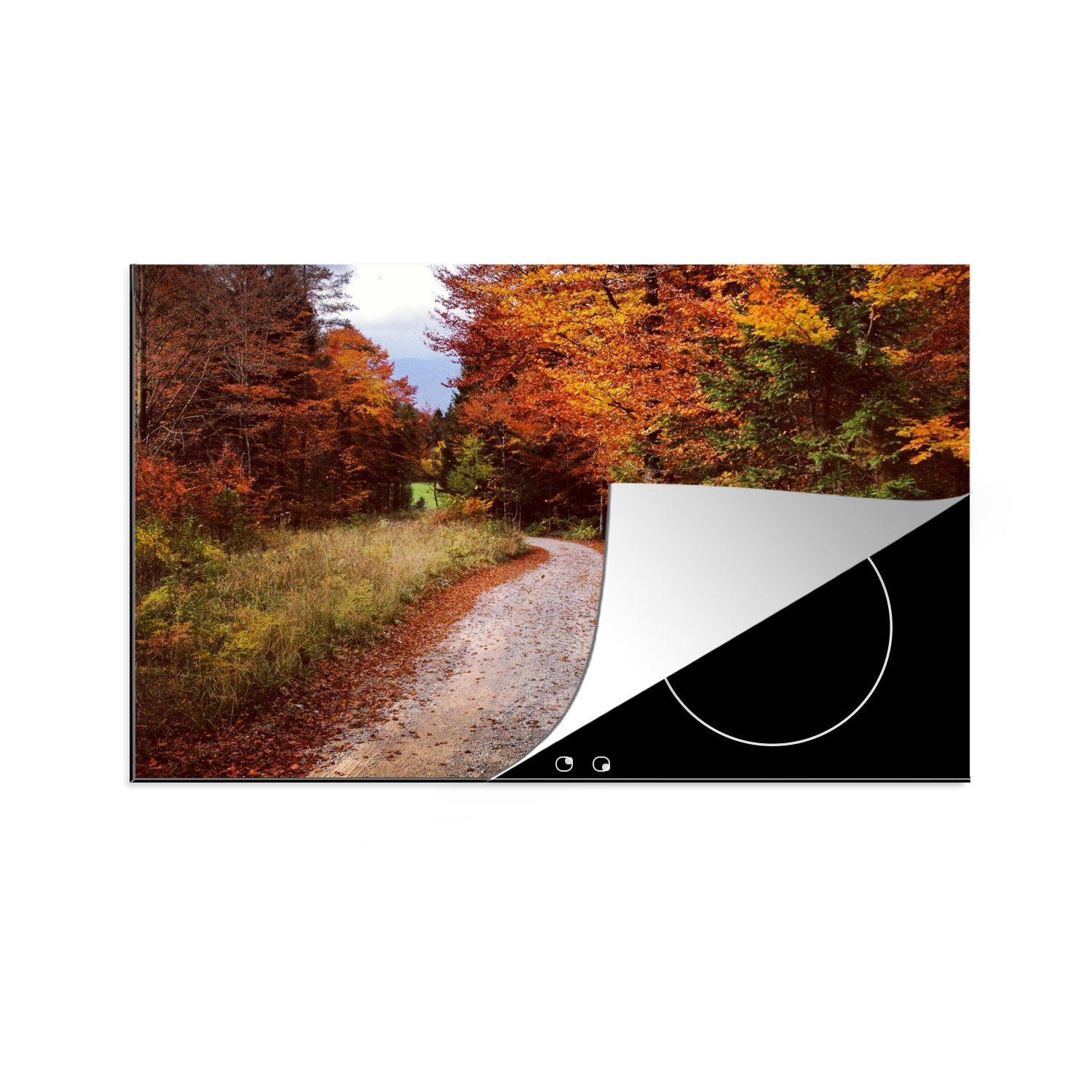 MuchoWow Herdblende-/Abdeckplatte Herbst - Herbstblätter - Weg - Wald, Vinyl, (1 tlg), 80x52 cm, Induktionskochfeld Schutz für die küche, Ceranfeldabdeckung