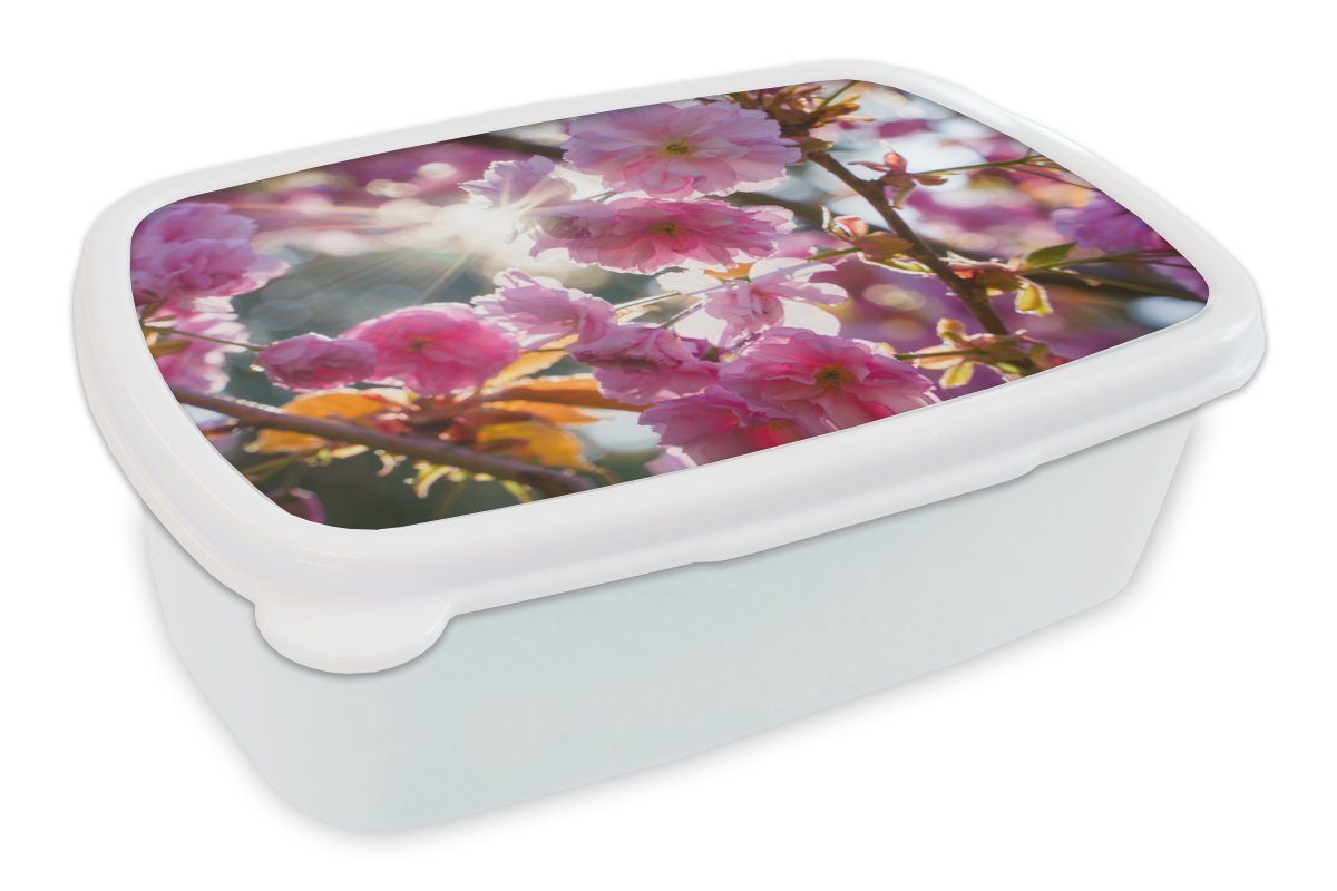 MuchoWow Lunchbox Sakura - Sonne - Frühling, Kunststoff, (2-tlg), Brotbox für Kinder und Erwachsene, Brotdose, für Jungs und Mädchen weiß