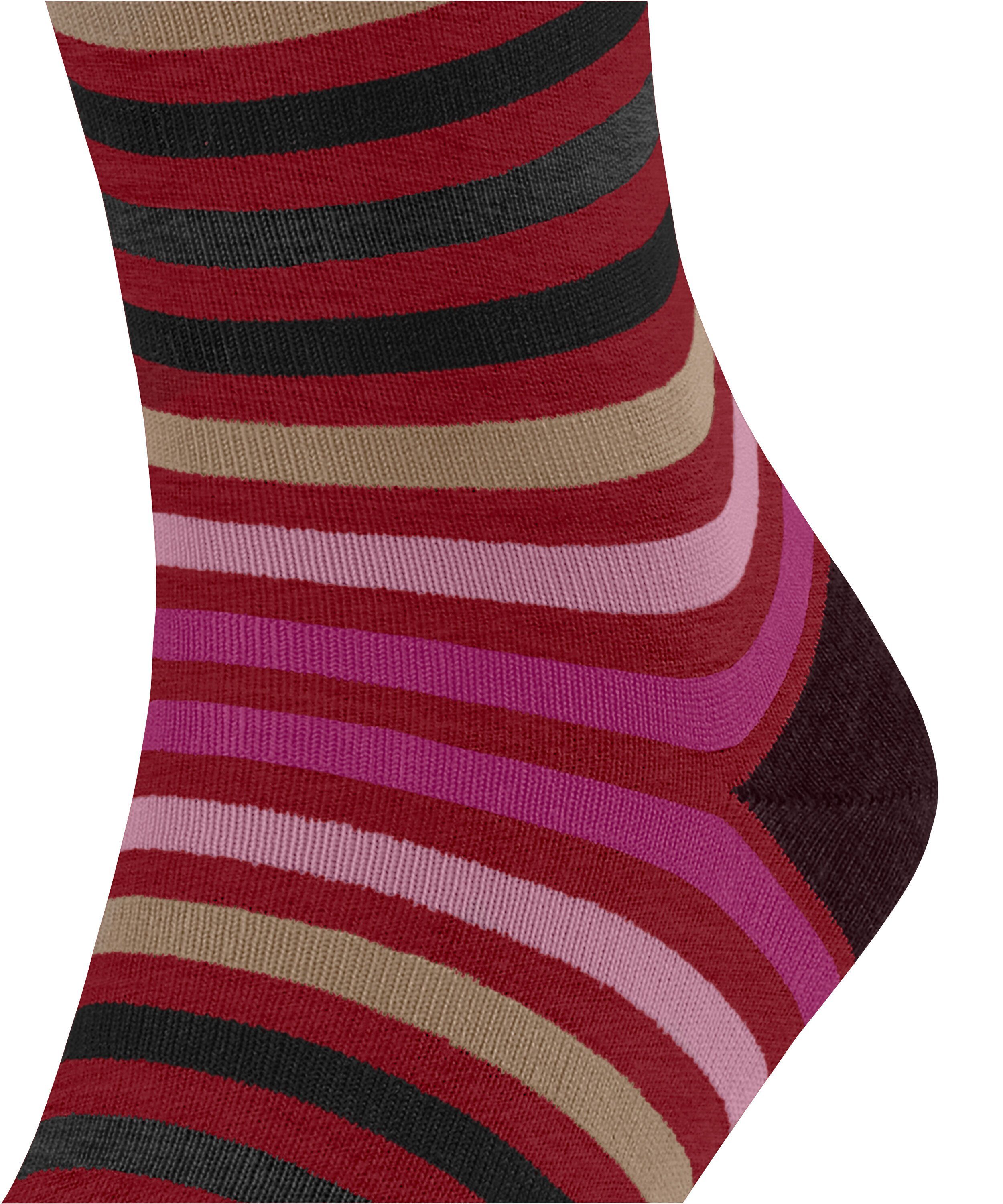 FALKE Socken Tinted Stripe (1-Paar) mit merzerisierter Baumwolle
