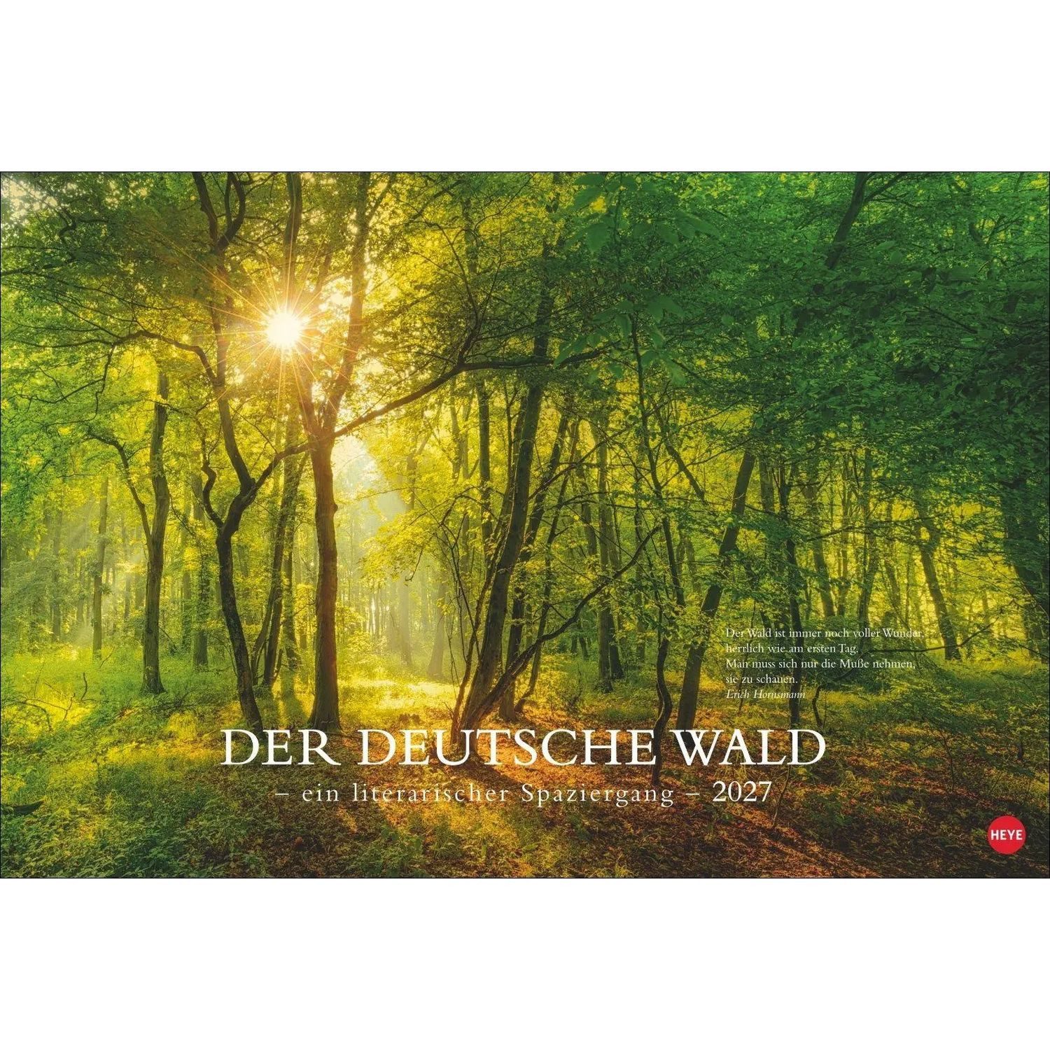 HEYE Wandkalender Der deutsche Wald - Ein literarischer Spaziergang Kalender 2027 -...