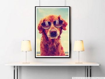 Sinus Art Poster Tierfotografie 60x90cm Poster Cooler Golden Retriever mit Sonnenbrille