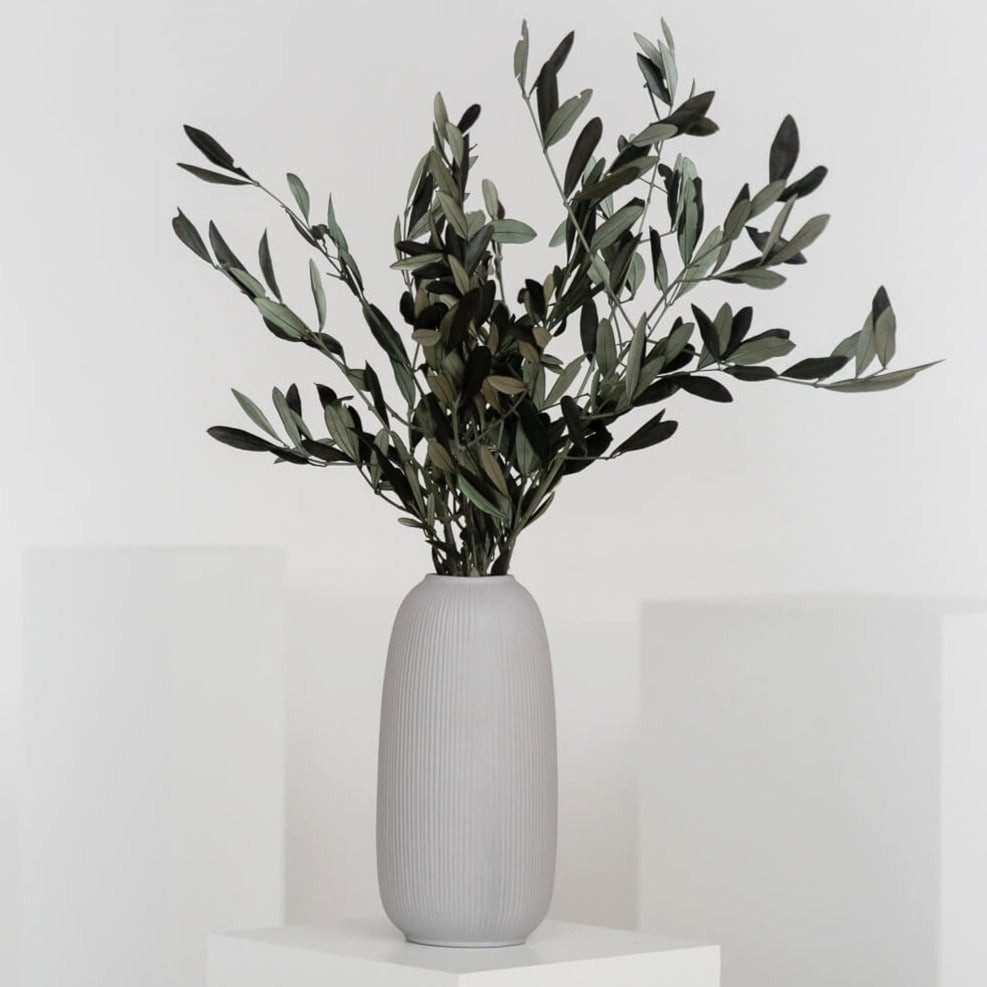 Trockenblume Olivenzweige, LYKKE & You günstig online kaufen