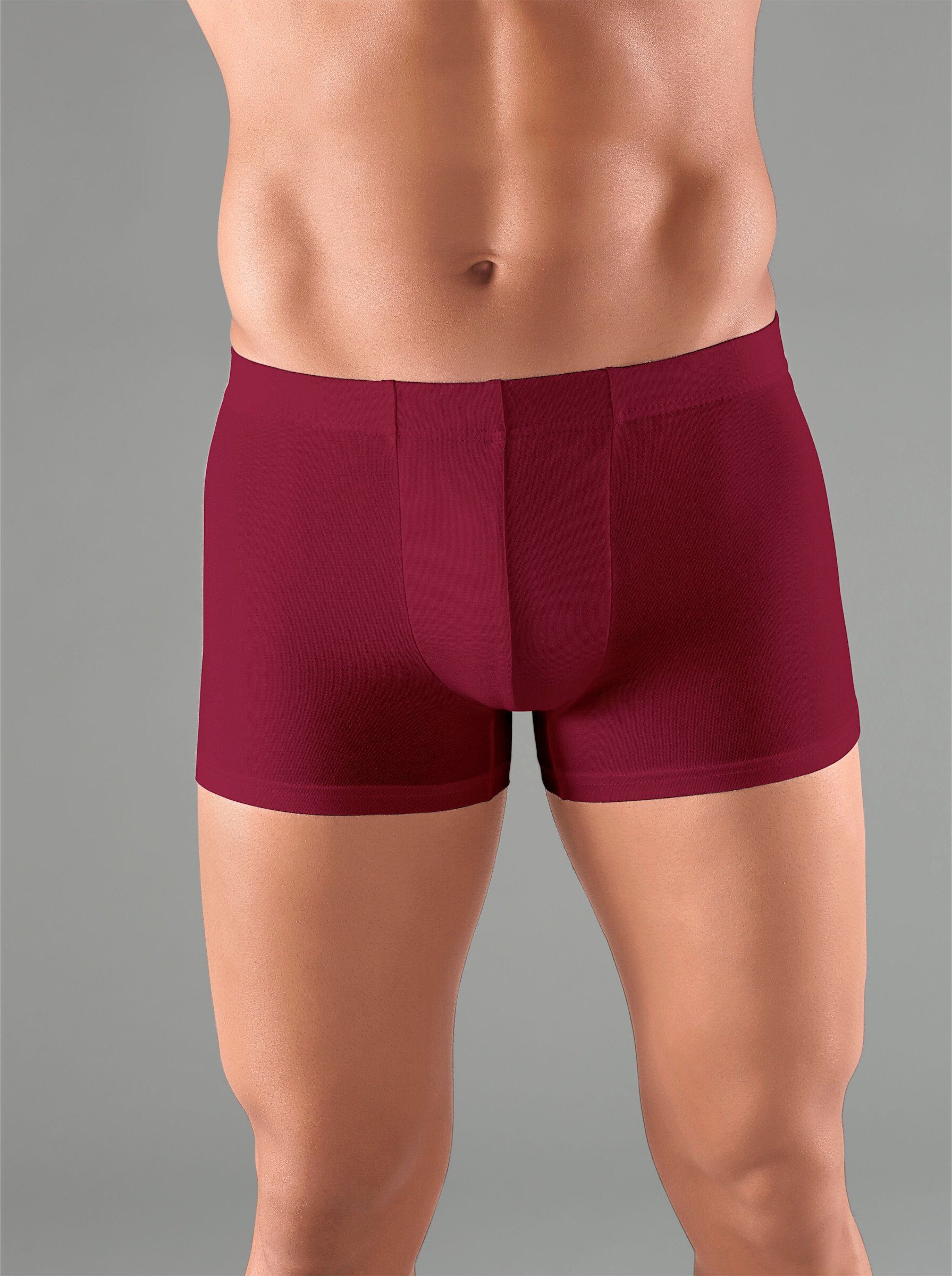 Witt Formpants Pants (5-St)