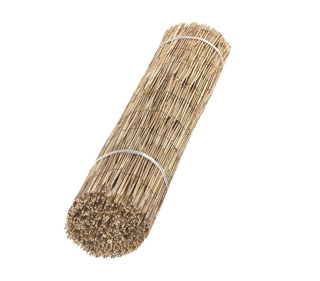 Dehner Sichtschutzelement Schilfrohrmatte, Länge 600 cm, günstig online kaufen