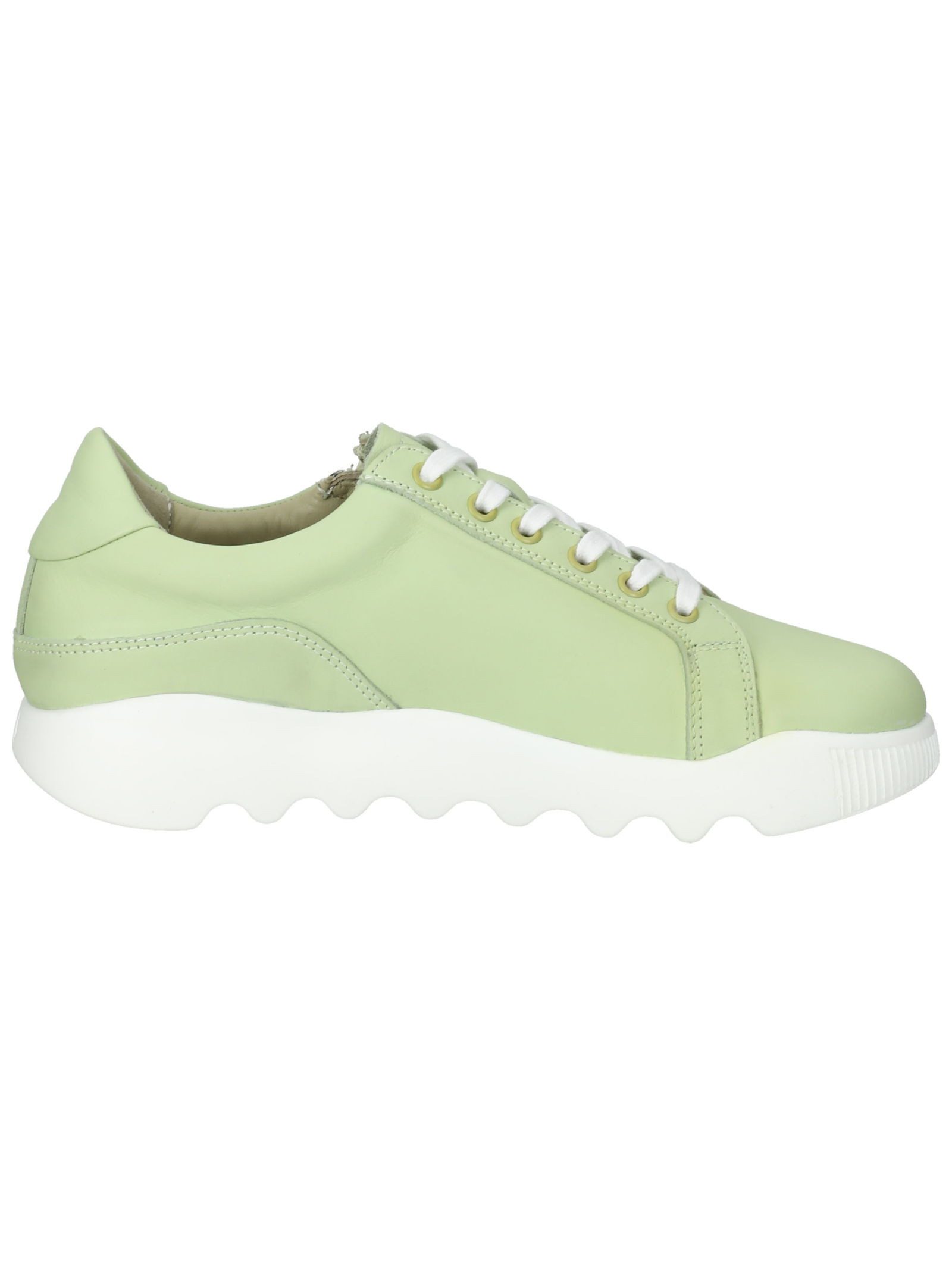softinos Sneaker Leder . Sneaker (1-tlg)