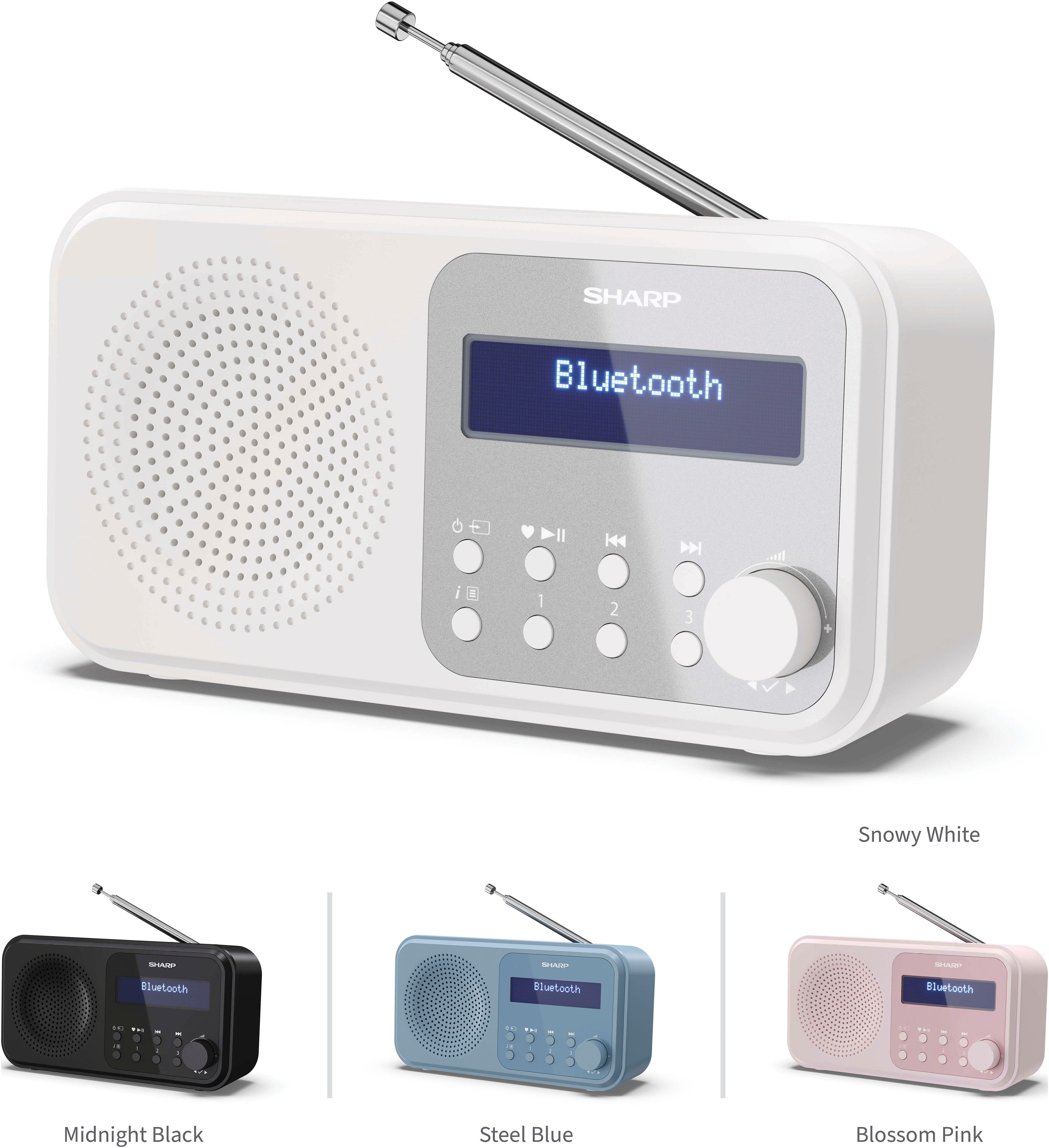 DR-P420 Radio