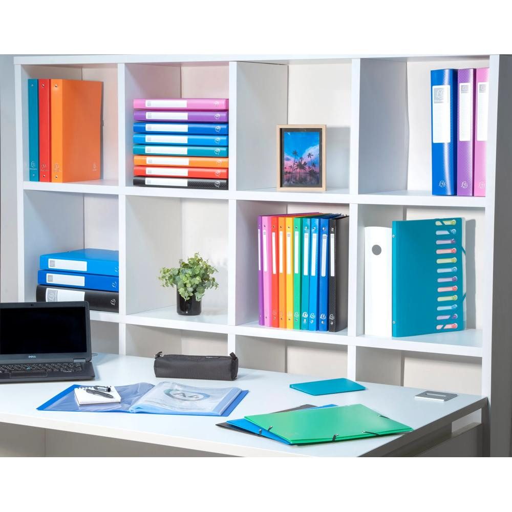 EXACOMPTA Ringbuchmappe Ringb A4 Uni PP mE 4R 15mm hbl