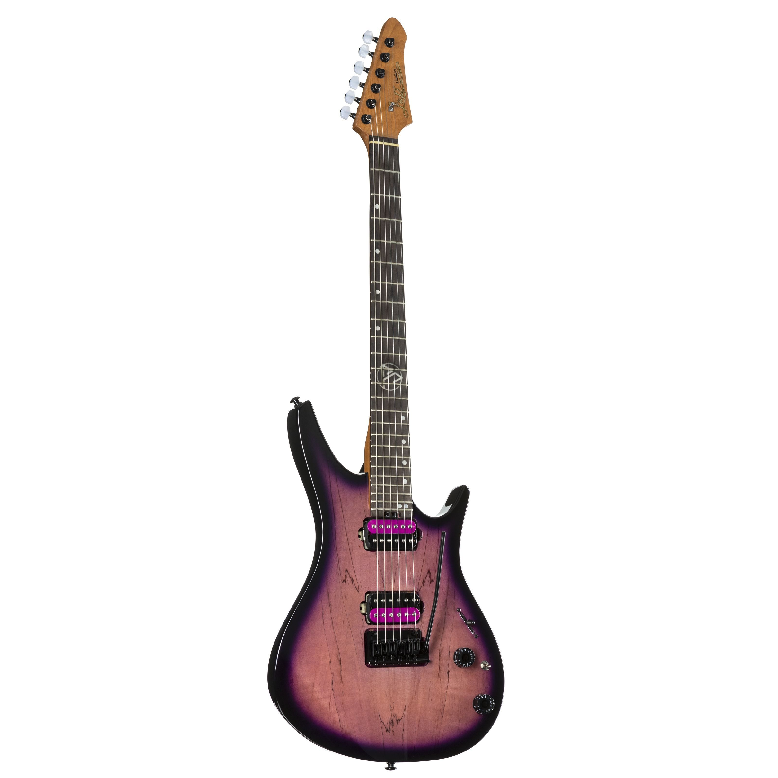 J & D E-Gitarre, DX-100DM E-Gitarre Plum Burst Finish Ergonomischer Korpus Roasted Maple Neck Custom Humbucker 2-Point Tremolo, E-Gitarren, ST-Modelle, DX-100DM E-Gitarre, Plum Burst Finish, Ergonomischer Korpus