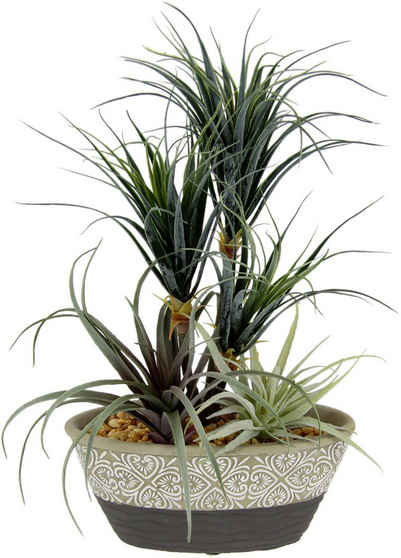 Kunstpflanze Dracena/Tillandsia Dracena Tillandsia, I.GE.A., Höhe 31 cm, Im Übertopf aus Keramik
