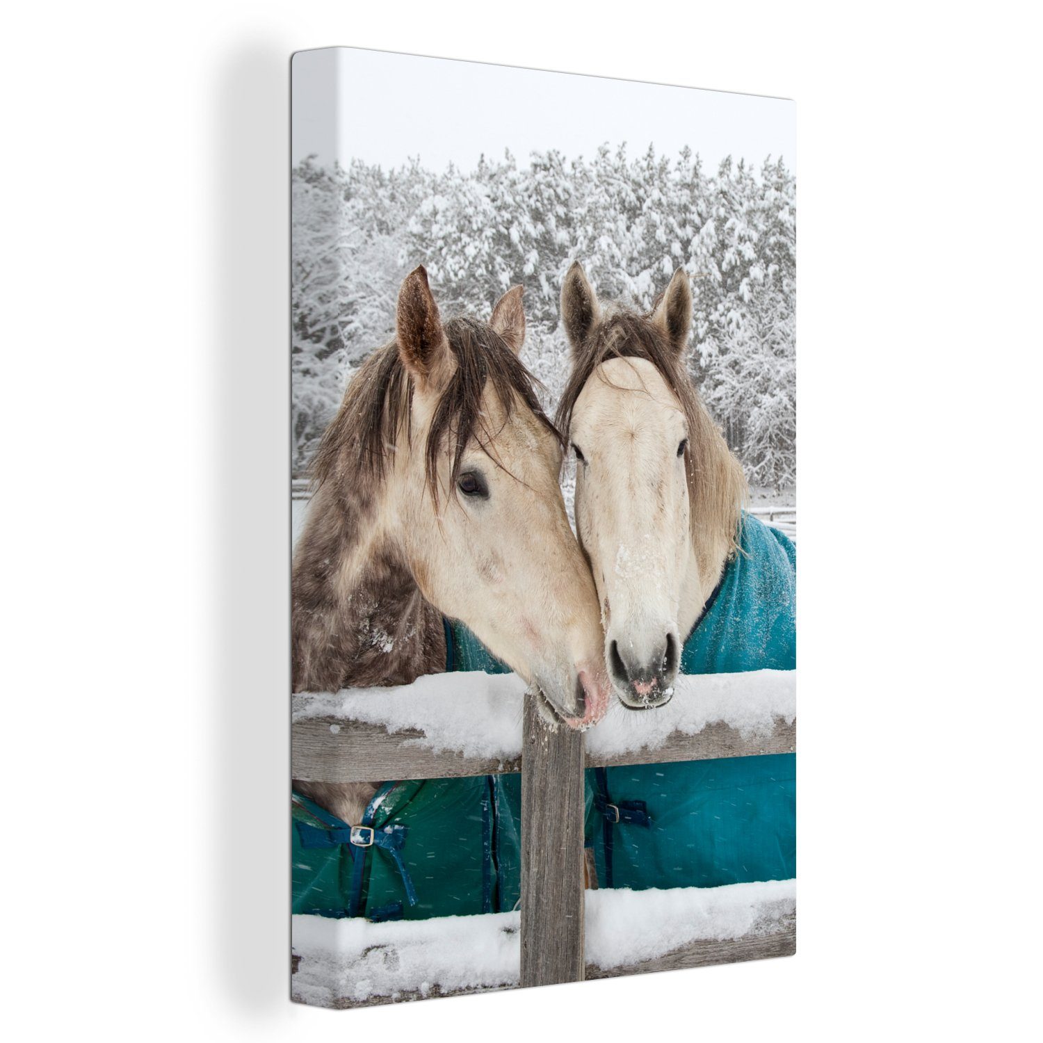 OneMillionCanvasses® Leinwandbild Pferde - Decke - Schnee, (1 St), Wandbild für alle Wohnbereiche, Gemälde, XXL, großes, 80x120 cm