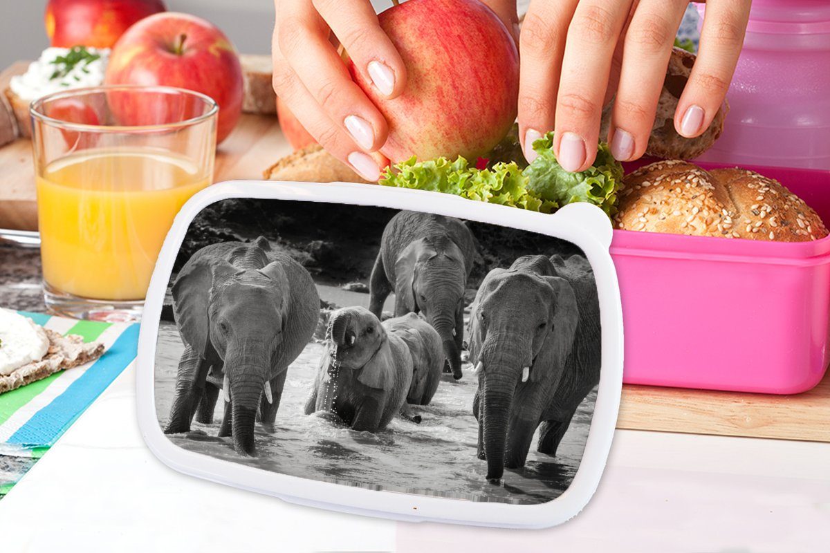 Schwarz Lunchbox - weiß, Snackbox, Kunststoff rosa Mädchen, Kinder, Tiere MuchoWow - Brotdose (2-tlg), Erwachsene, - Brotbox und für Kunststoff, Elefant Wasser