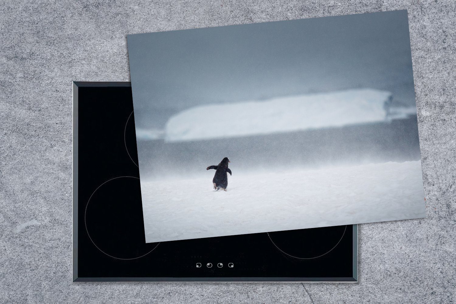 Pinguin der nutzbar, Ceranfeldabdeckung tlg), MuchoWow Mobile cm, Vinyl, Schnee Antarktis, in im wandert Arbeitsfläche Herdblende-/Abdeckplatte 70x52 (1