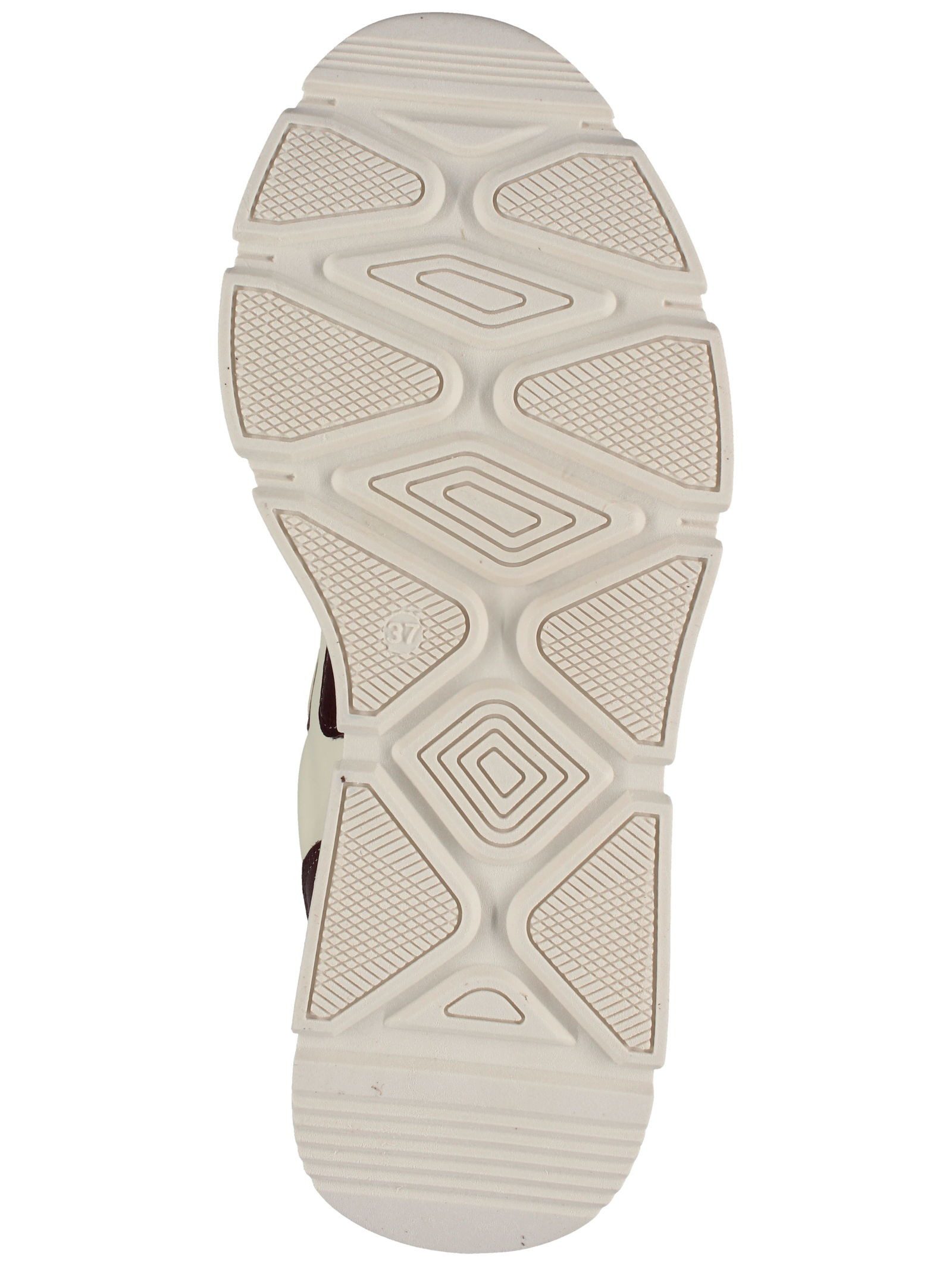 STEVE MADDEN STEVE MADDEN Sneaker Leder Sneaker