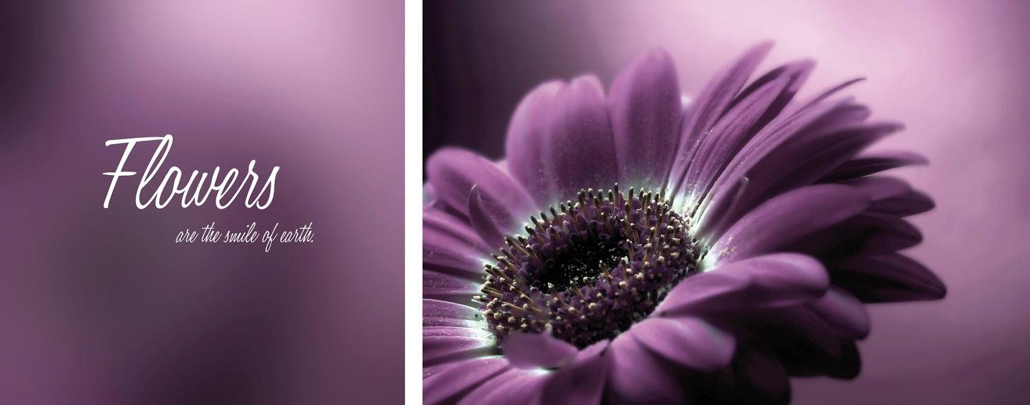 Leinwandbild Flower