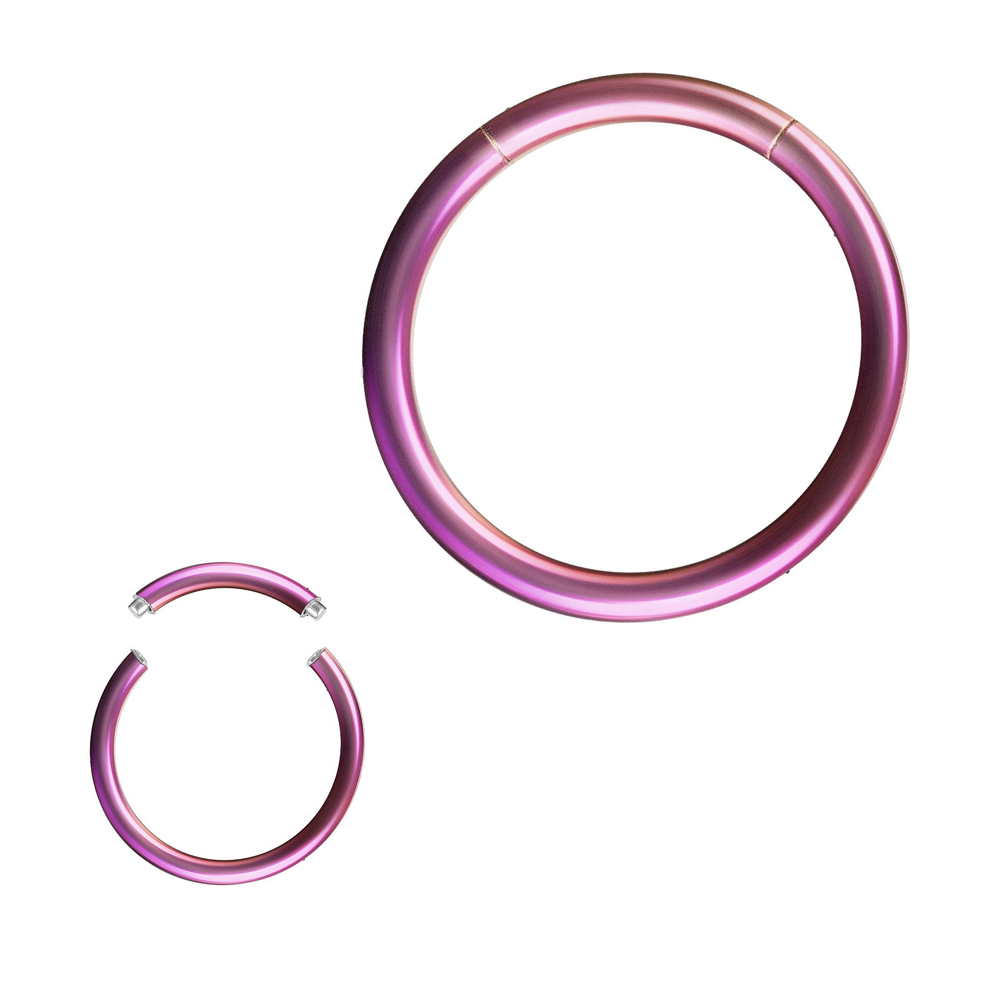 Taffstyle Nasenpiercing Segment Septum Universal Piercing günstig online kaufen