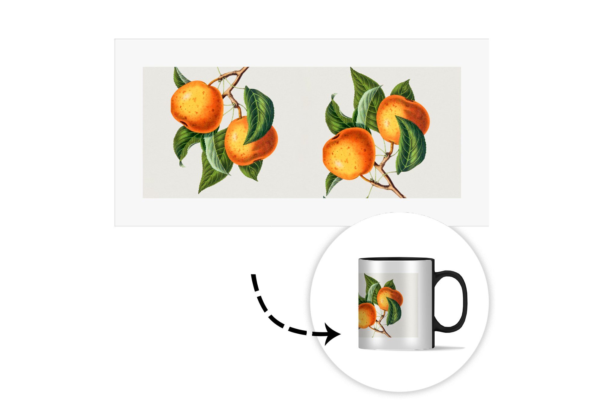 Geschenk Pflanze, Teetasse, Farbwechsel, Orange - - MuchoWow Lebensmittel Kaffeetassen, Zaubertasse, Keramik, Tasse