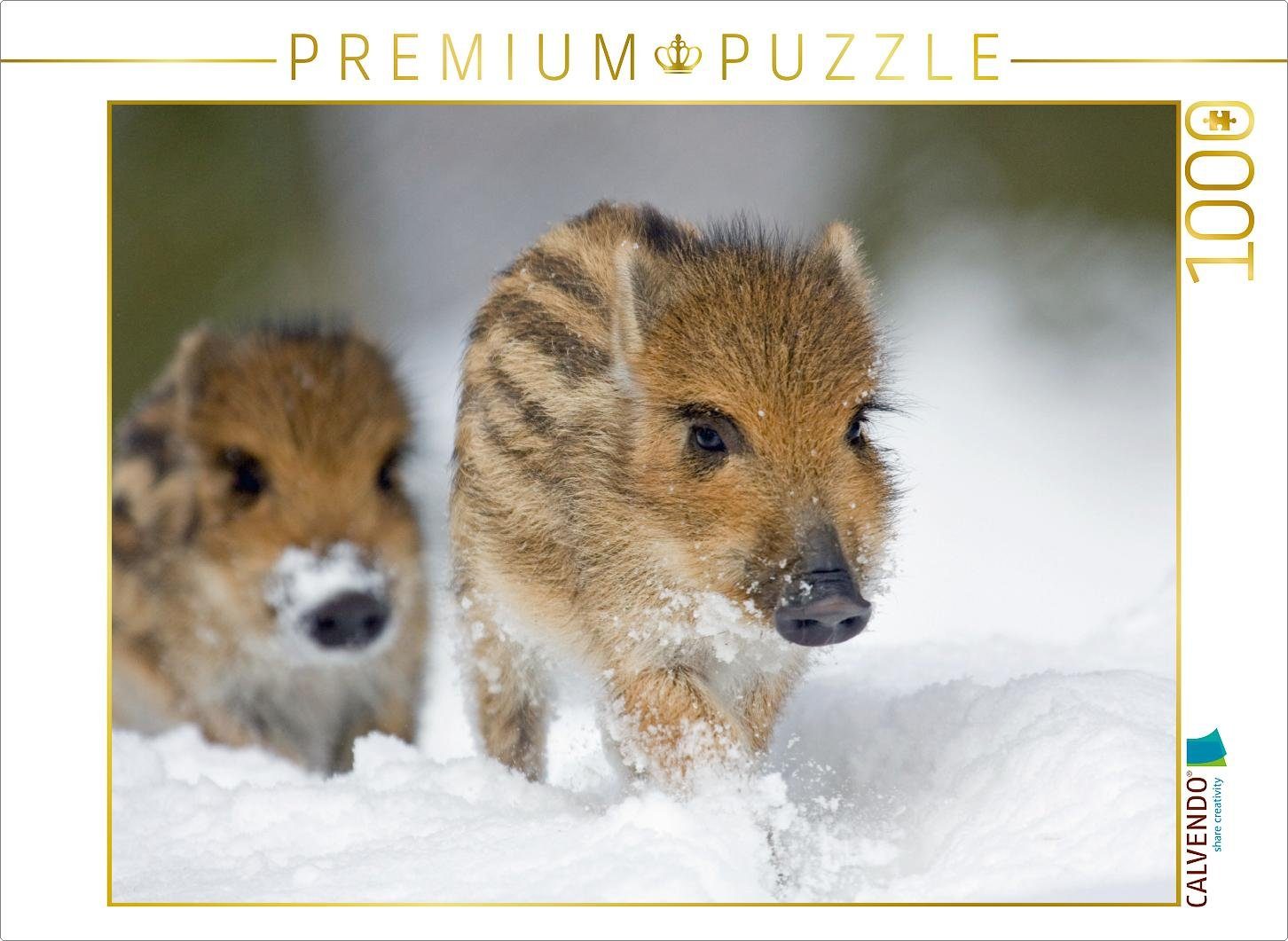 CALVENDO Puzzle CALVENDO Puzzle Frischlinge im Schnee 1000 Teile Lege-Größe 64 x 48 cm Foto-Puzzle Bild von Wilfried Martin, 1000 Puzzleteile