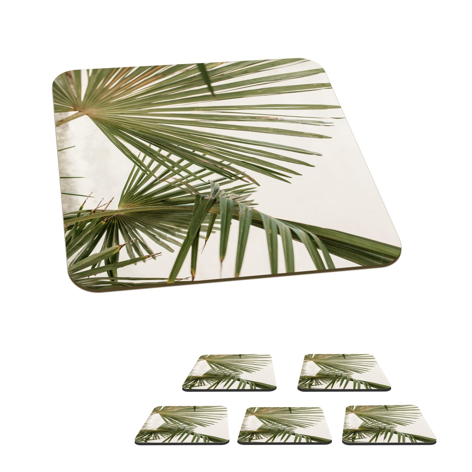 MuchoWow Glasuntersetzer Palme - Himmel - Blätter, Zubehör für Gläser, 6-tlg., Glasuntersetzer, Tischuntersetzer, Korkuntersetzer, Untersetzer, Tasse