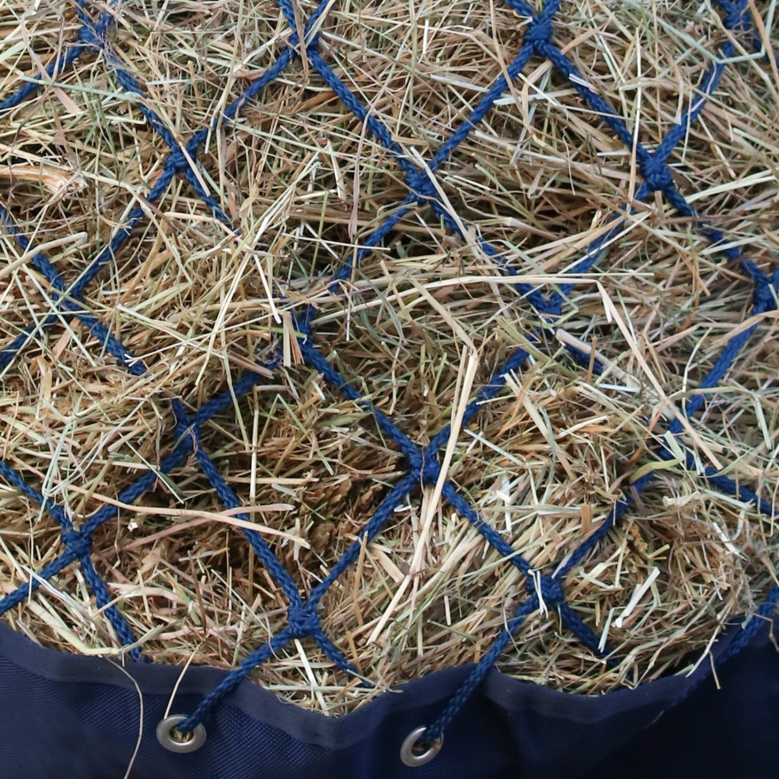 EQuest Heunetz Heunetz Premium, mit Boden und Abfluss - Navy