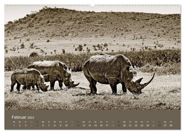 CALVENDO Wandkalender Wildes Afrika (Premium, hochwertiger DIN A2 Wandkalender 2023, Kunstdruck in Hochglanz)