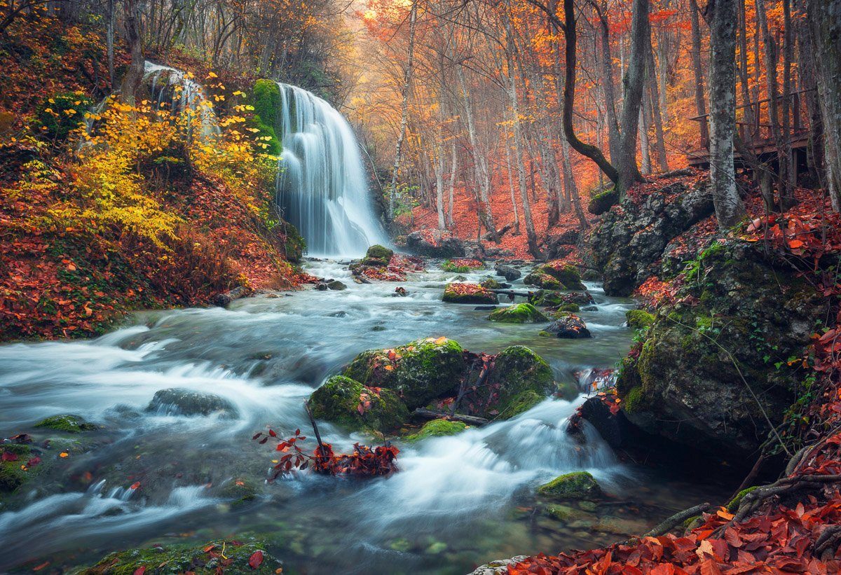 Fototapete Wald im Papermoon Wasserfall