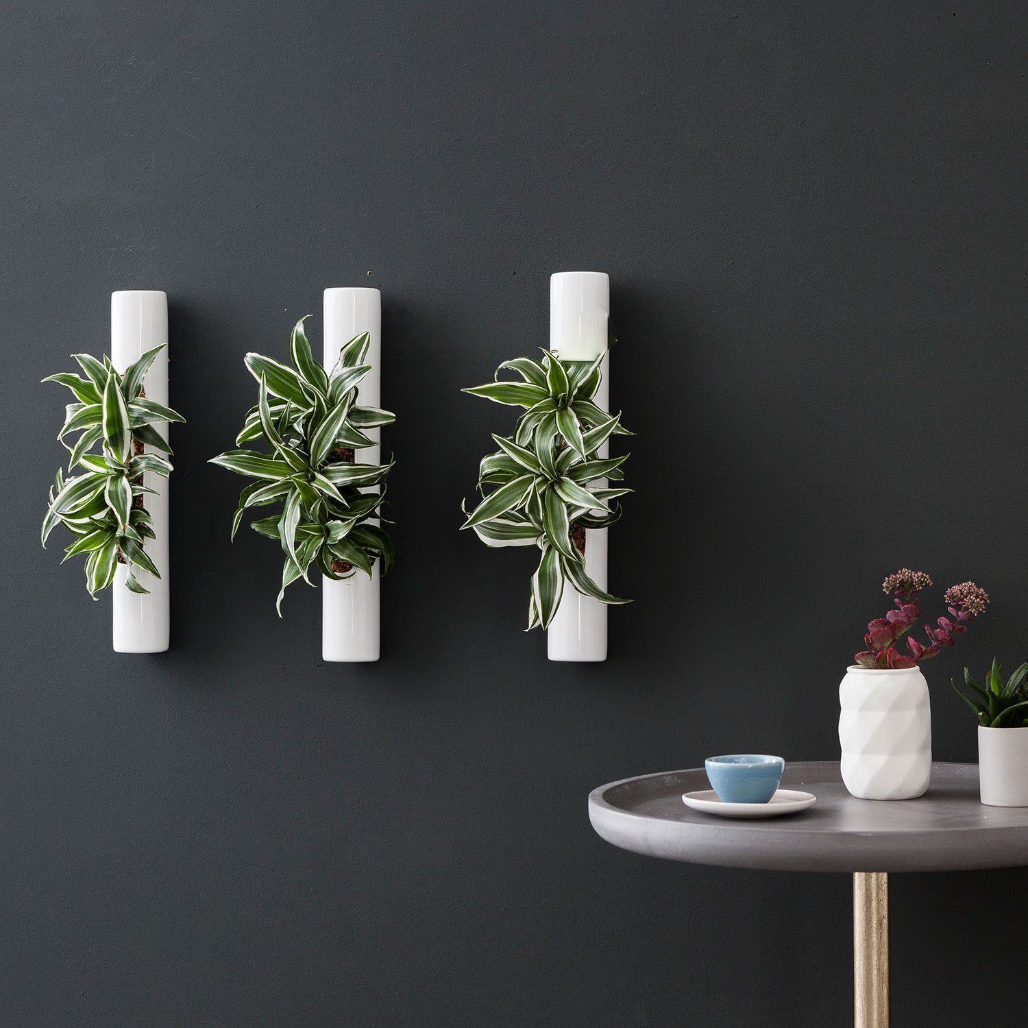 Flowerbox Wanddekoobjekt 3er-Set Wandbegrünung Tube günstig online kaufen