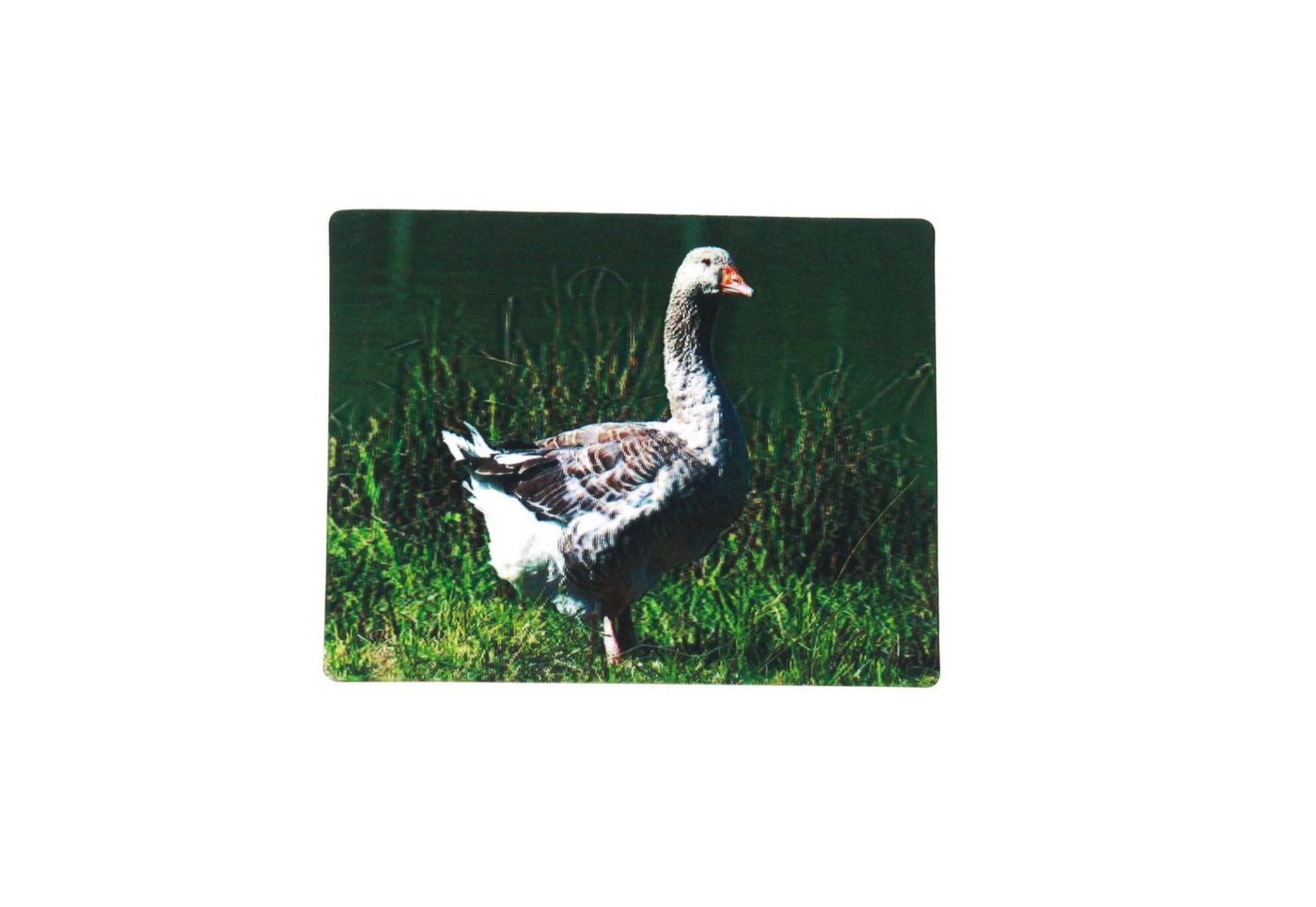 Thumbnail - Cornelißen Magnet 3D Magnet Gans