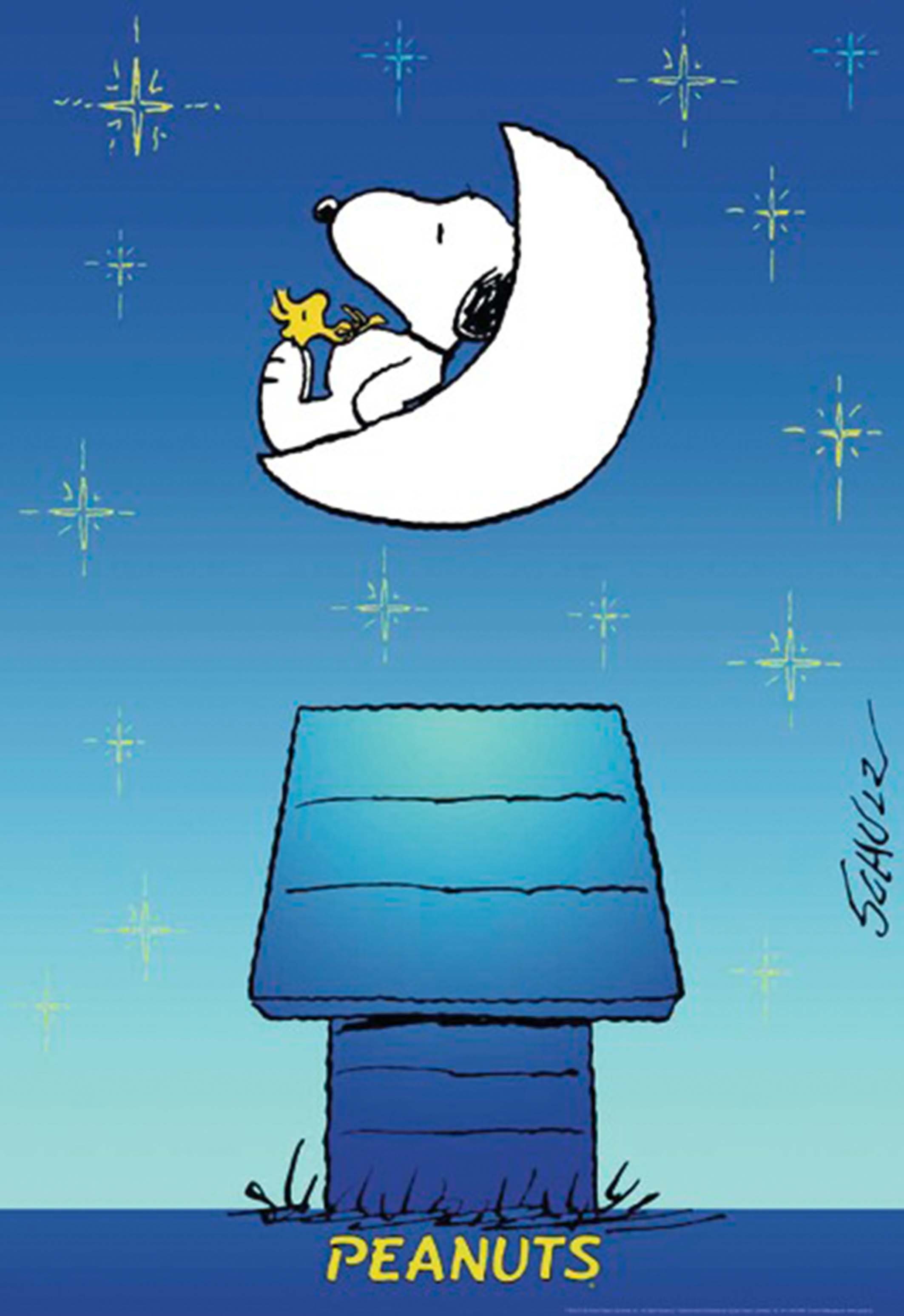 Poster Peanuts Poster 68 x 99 cm