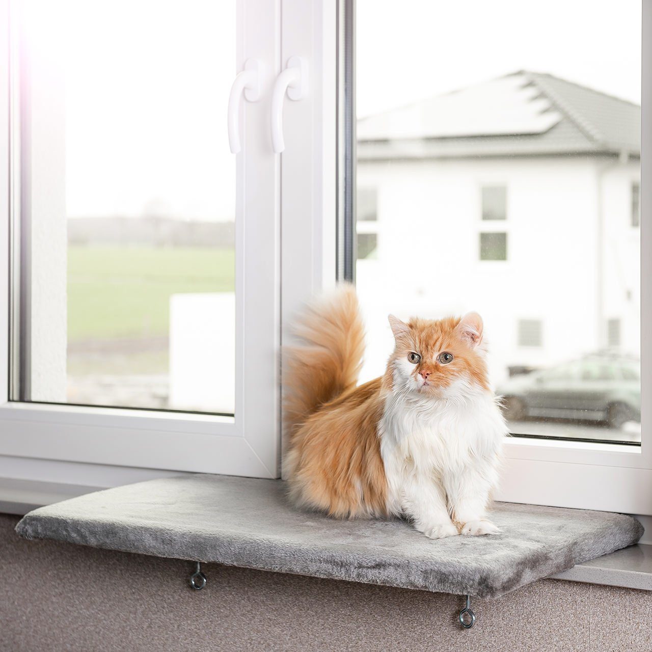 Canadian Cat Company Katzen-Hängematte Snuggly Place, günstig online kaufen