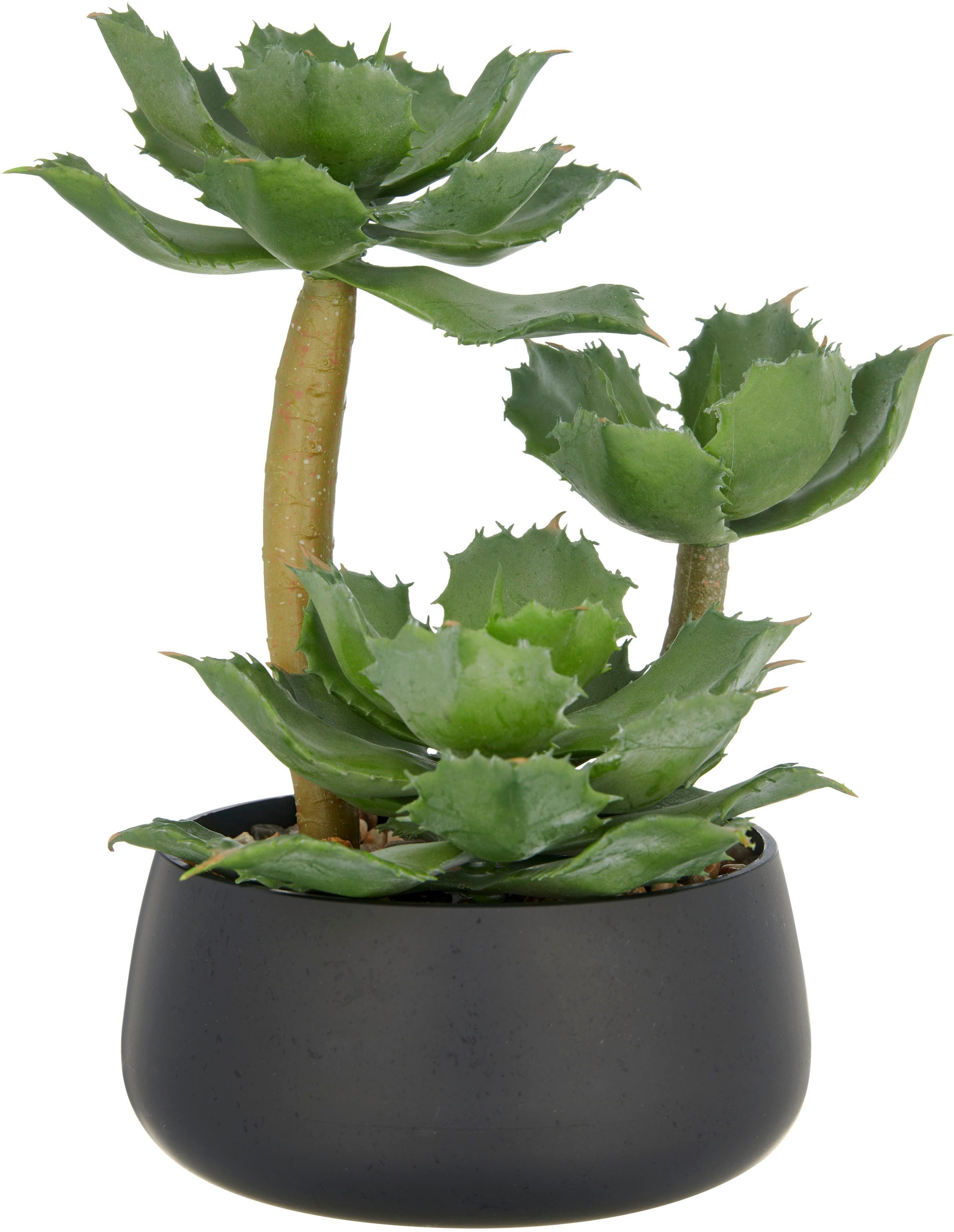 Kunstpflanze Echeveria