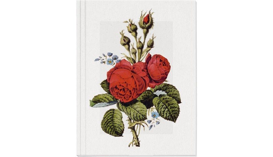 Gerstenberg Verlag Notizbuch Geschichte der Rose Großes Notizheft Motiv Moosrose