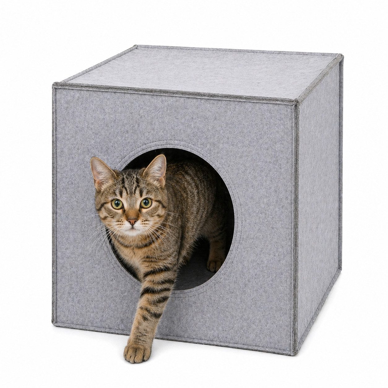 lionto Tierhöhle quadratisch, Regaleinsatz & Katzenbett 2-in-1, 33x37x33 cm Katzenhöhle aus robustem Filz