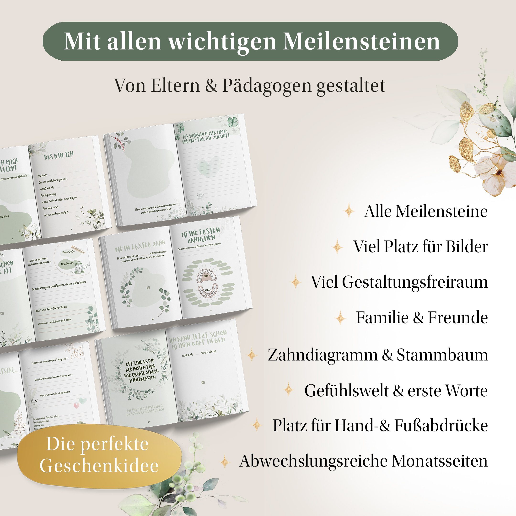 Eulentaler Tagebuch I Babyalbum I Mein erstes Jahr I Von Pädagogen gestaltet I handgemalte Illustrationen, viel Platz für Fotos & Erinnerungen, 84 Seiten