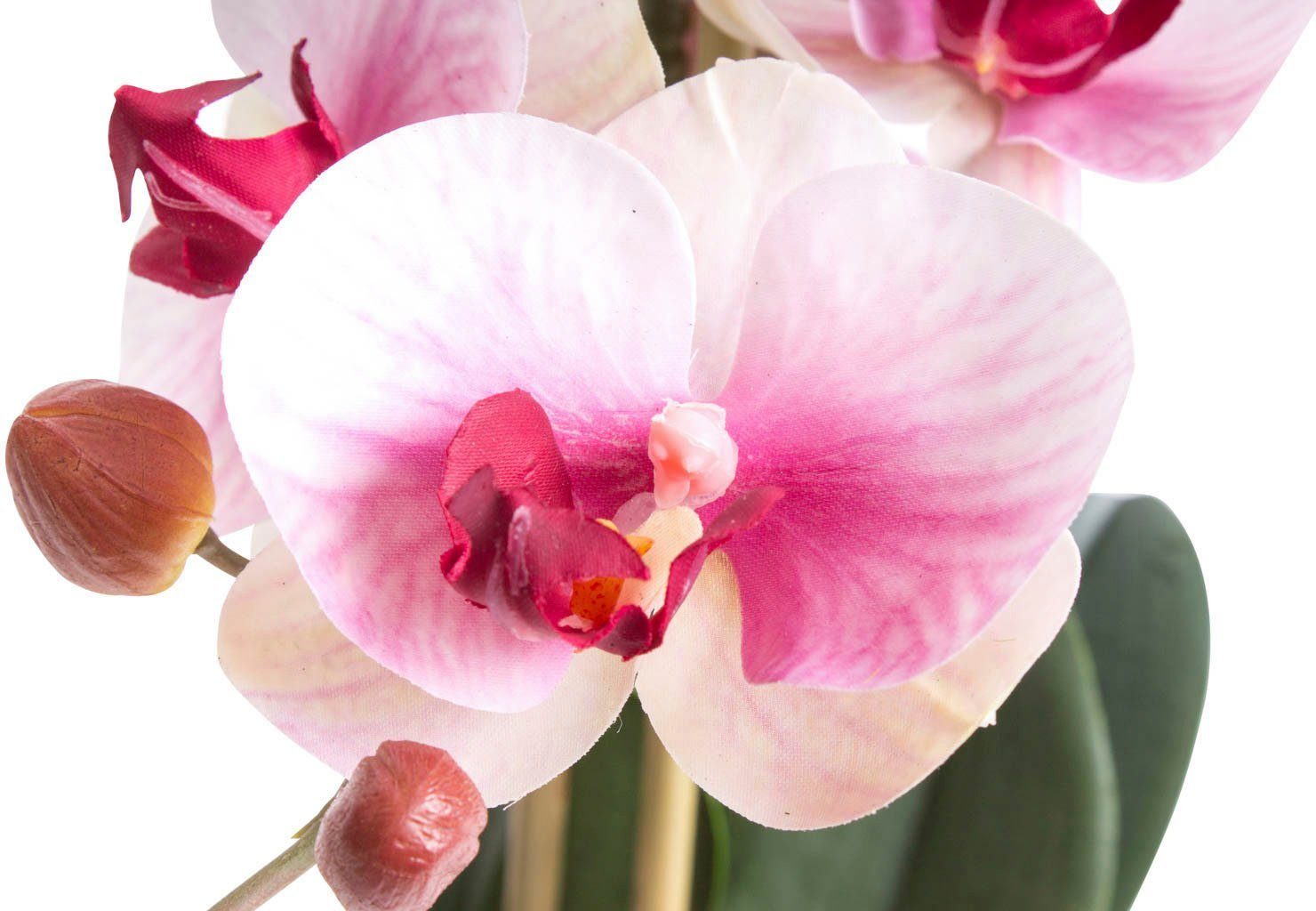 Kunstorchidee Orchidee Bora Höhe 50 Orchidee, Botanic-Haus, cm