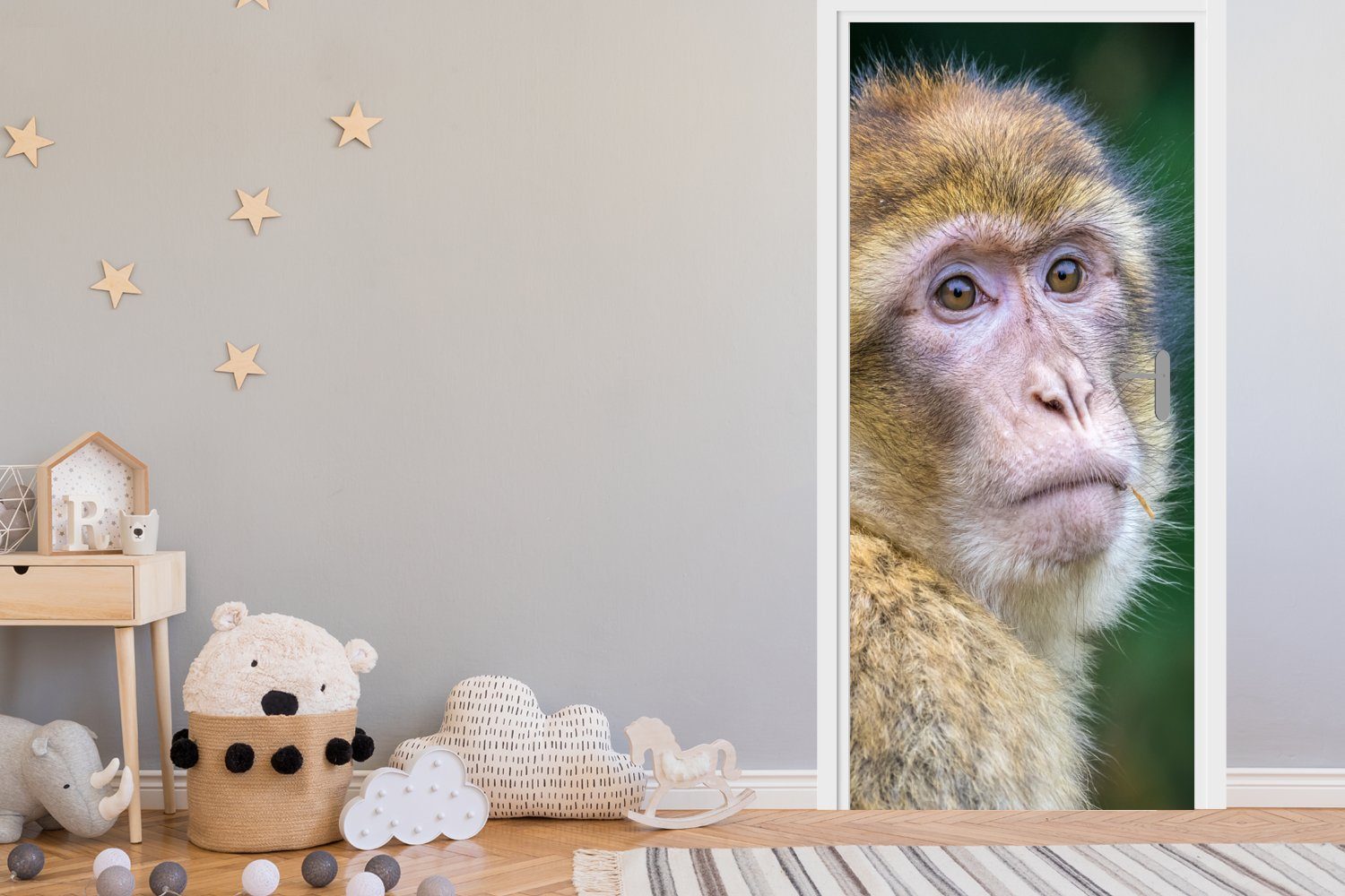 MuchoWow Türtapete Affen - Tiere für - (1 Fototapete - Türaufkleber, Natur, Porträt 75x205 Matt, St), cm bedruckt, Tür
