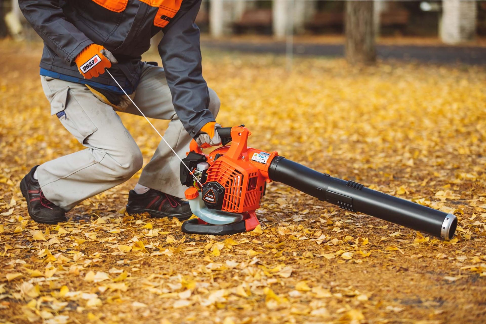 Echo Benzin-Laubbläser PB-2620 Laubbläser