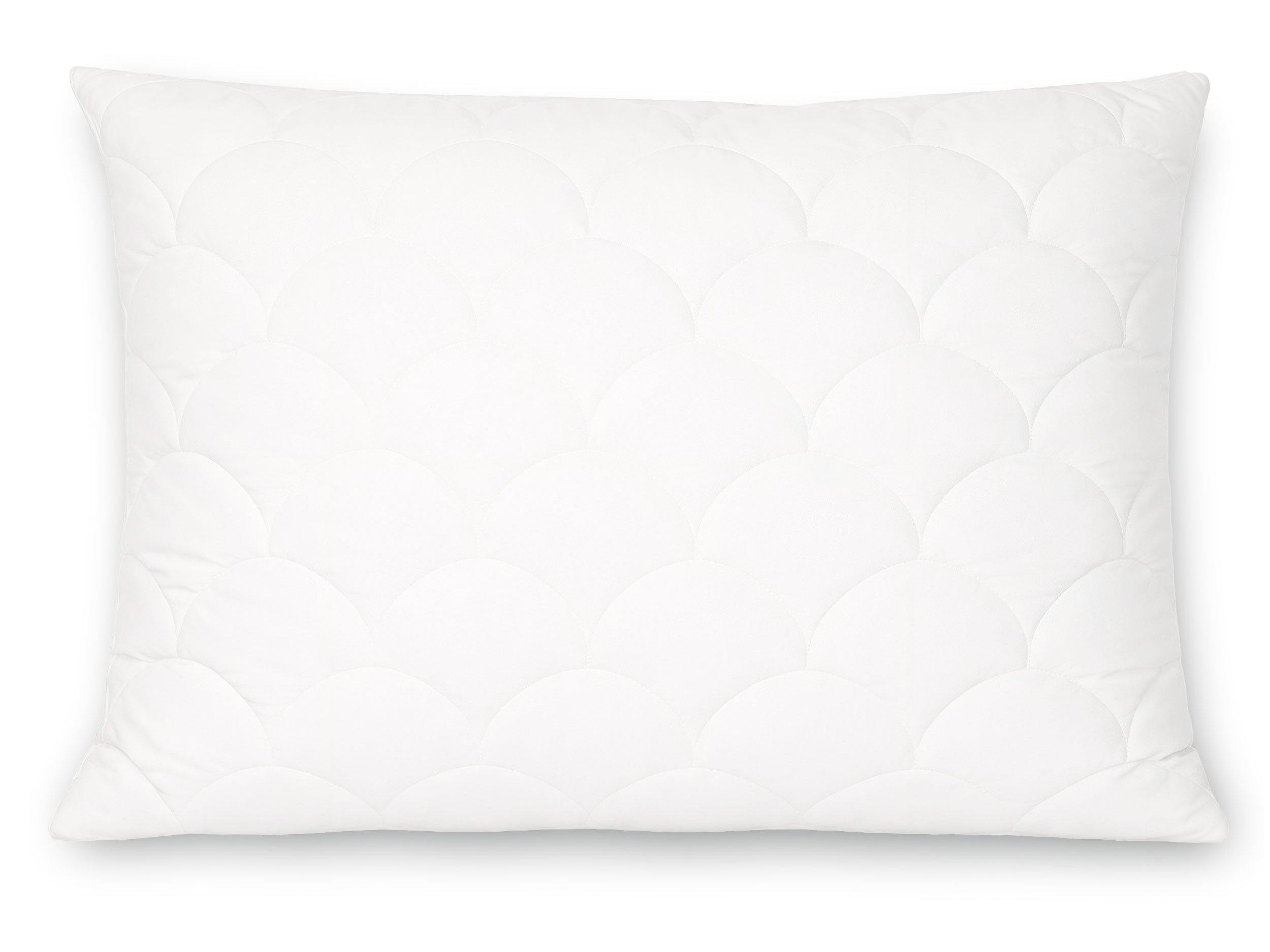 ZOLLNER Kopfkissen, Füllung: 100% Hochbauschpolyester, Bauch-, Seiten-, Rückenschläfer, 60 x 80 cm, 100% Baumwolle, vom Hotelwäschespezialisten