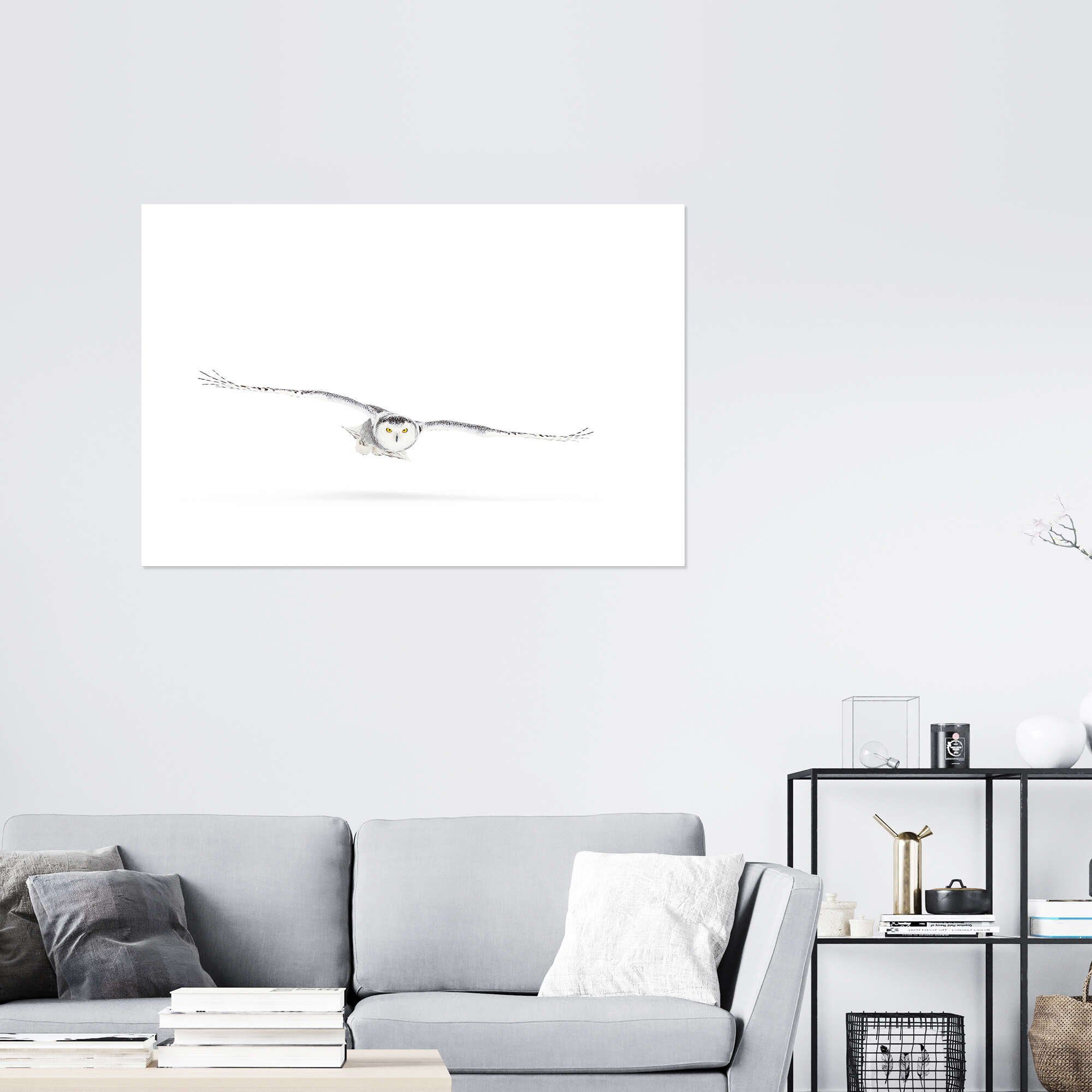 Posterlounge Wandbild Schnee-Eule auf der Jagd, Jim Cumming, erhältlich als Poster, Leinwandbild, Wandsticker oder Acrylglasbild